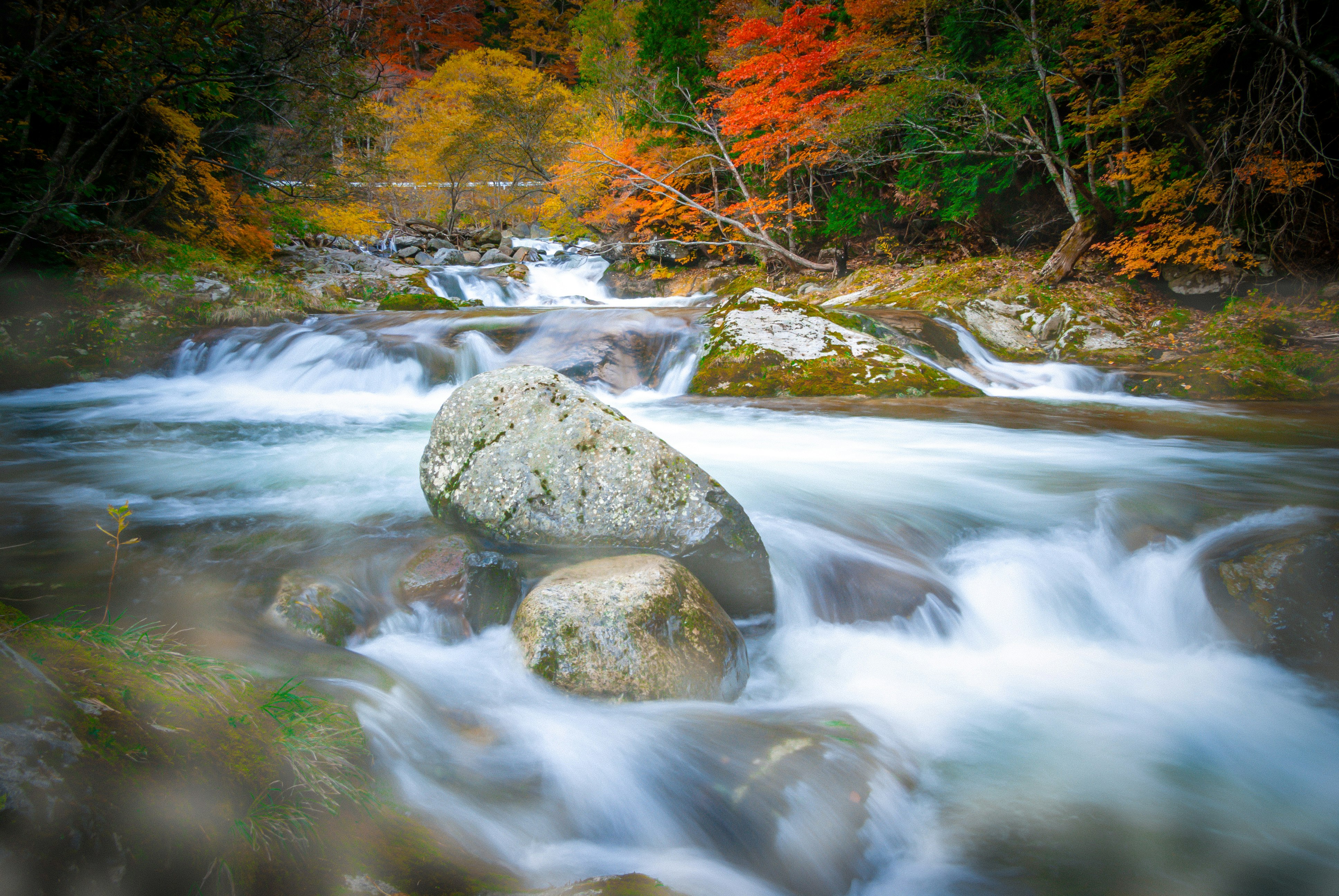 紅葉の川に流れる小さな滝の流れ