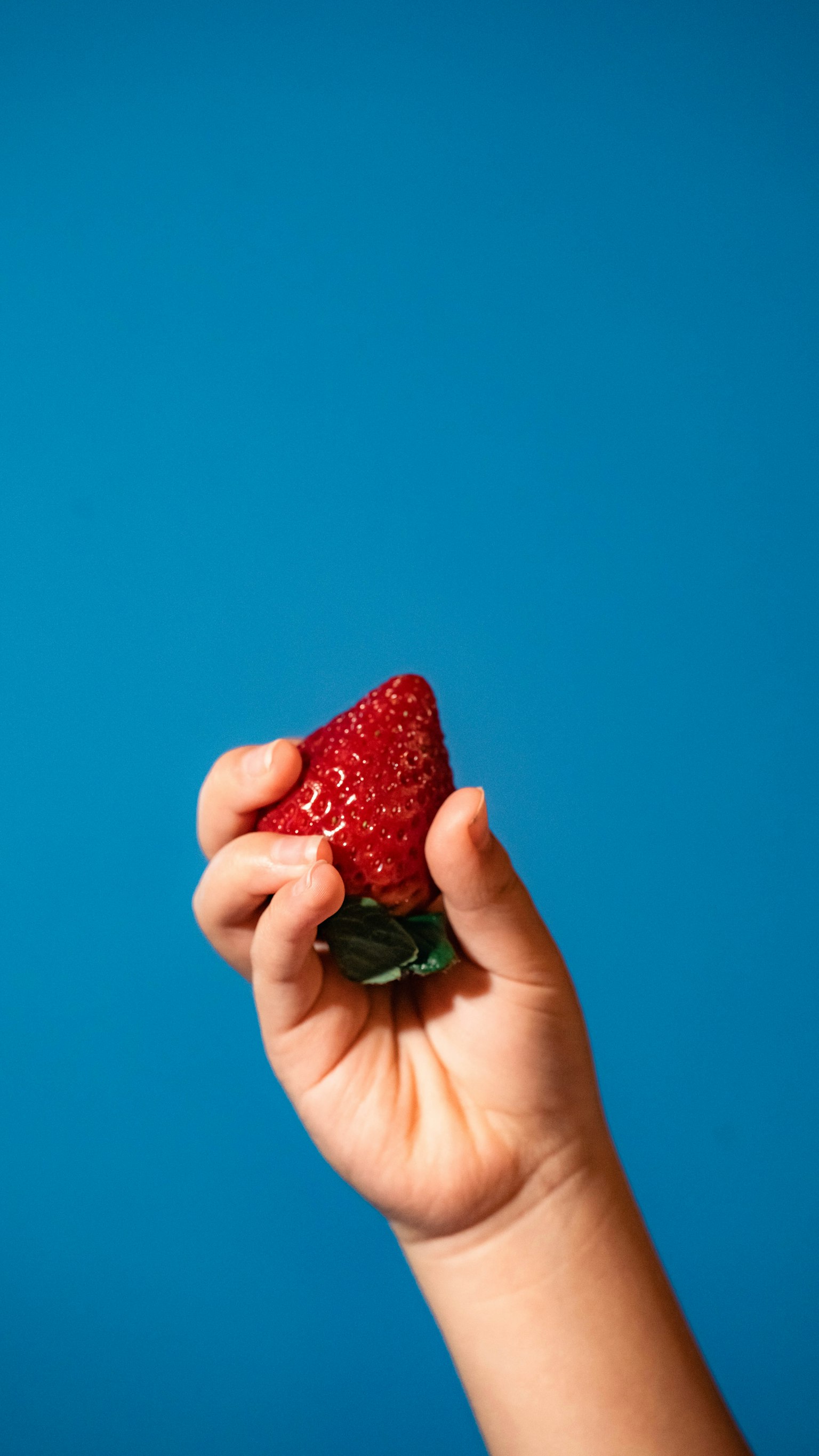 Hand holding a strawberry against a blue background