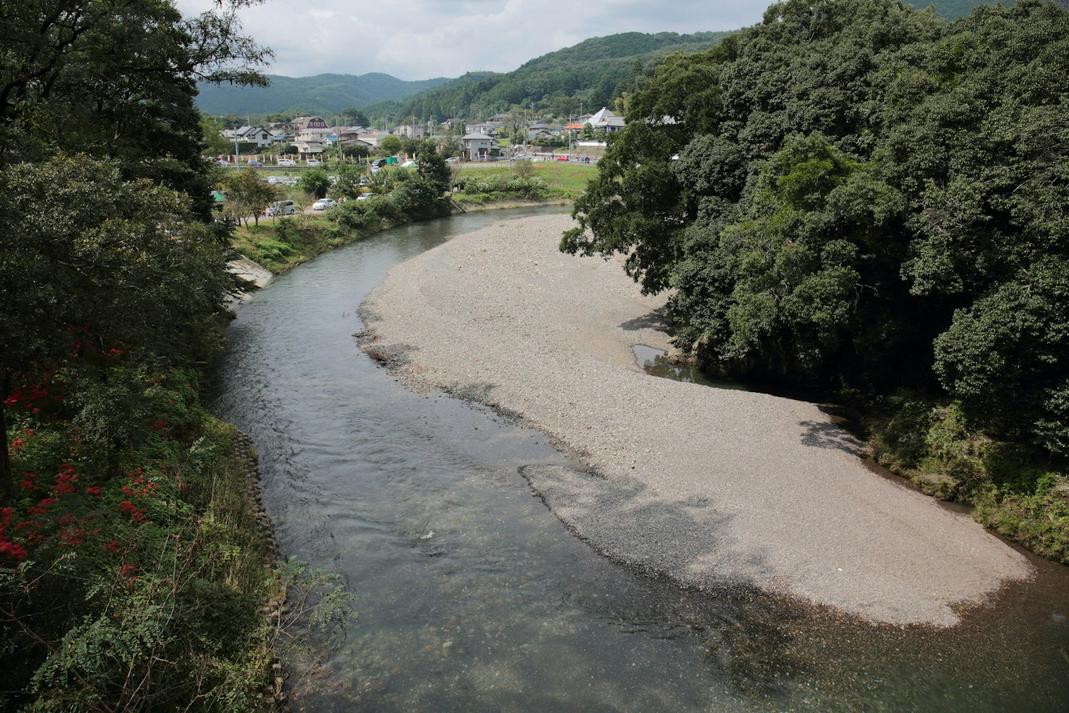 被郁郁蔥蔥的樹木環繞的風景如畫的河流，流動溫和，自然美麗