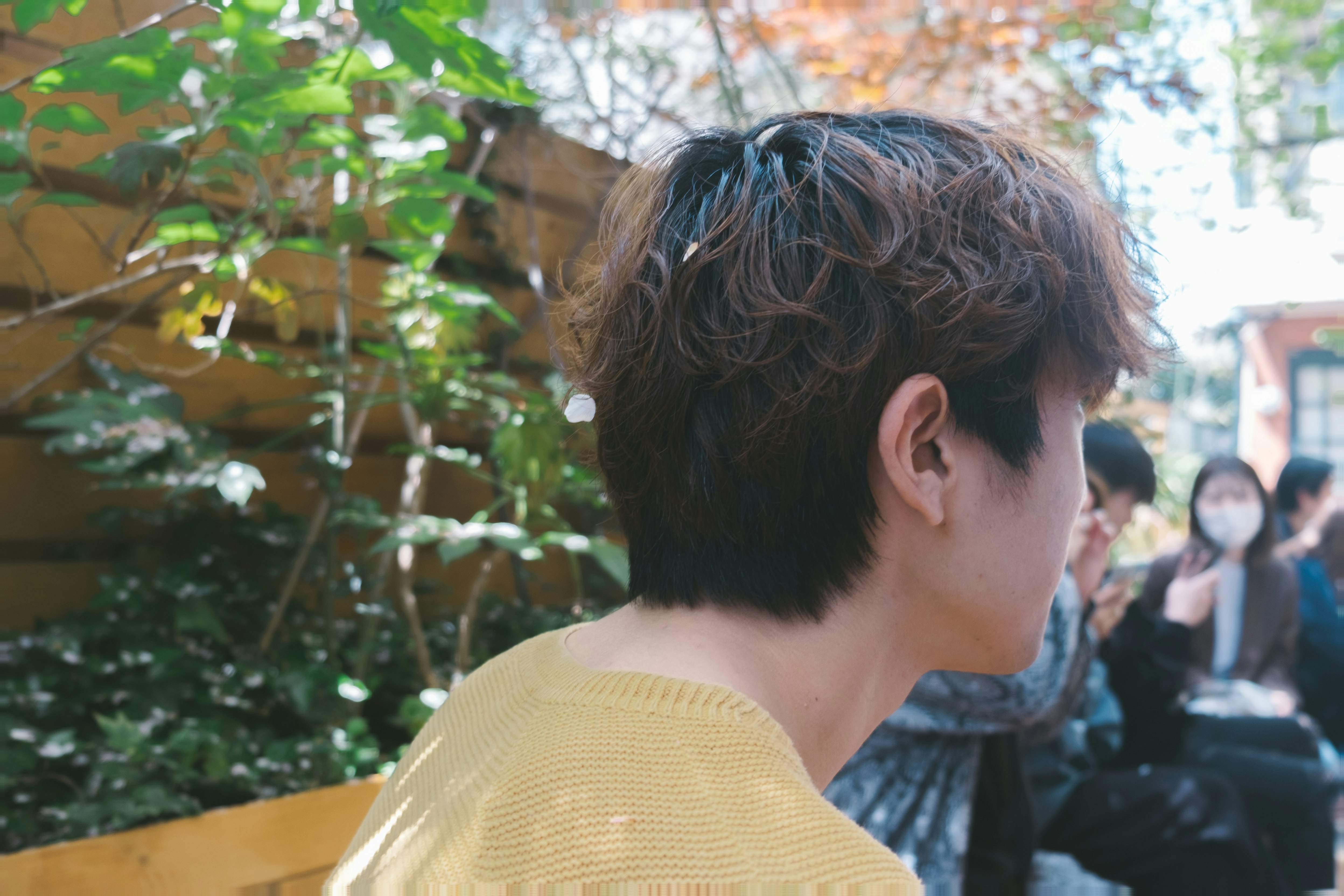 カフェの中で会話する人々と木々のある席