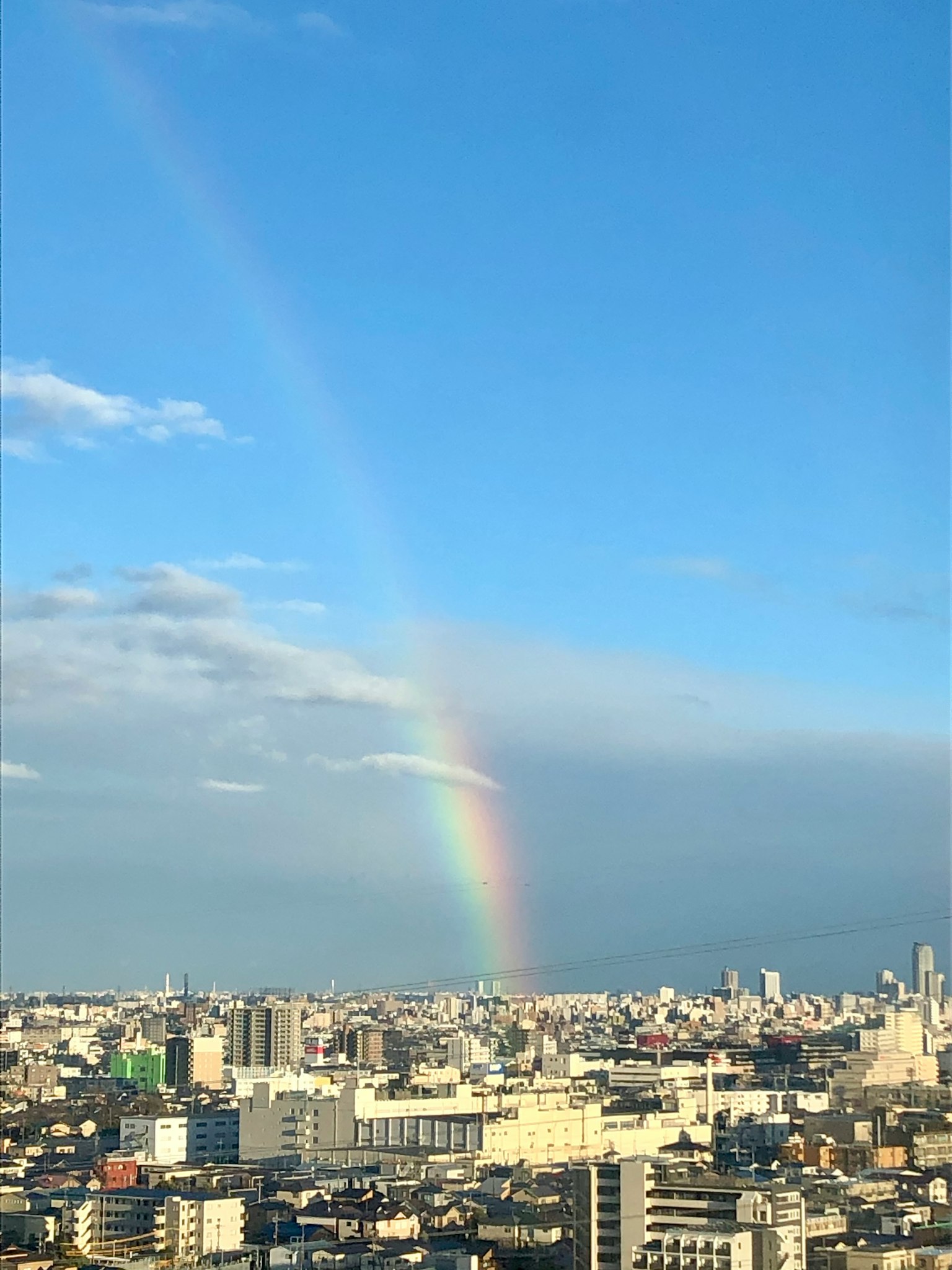 Cầu vồng đẹp phía trước cảnh quan thành phố Tokyo