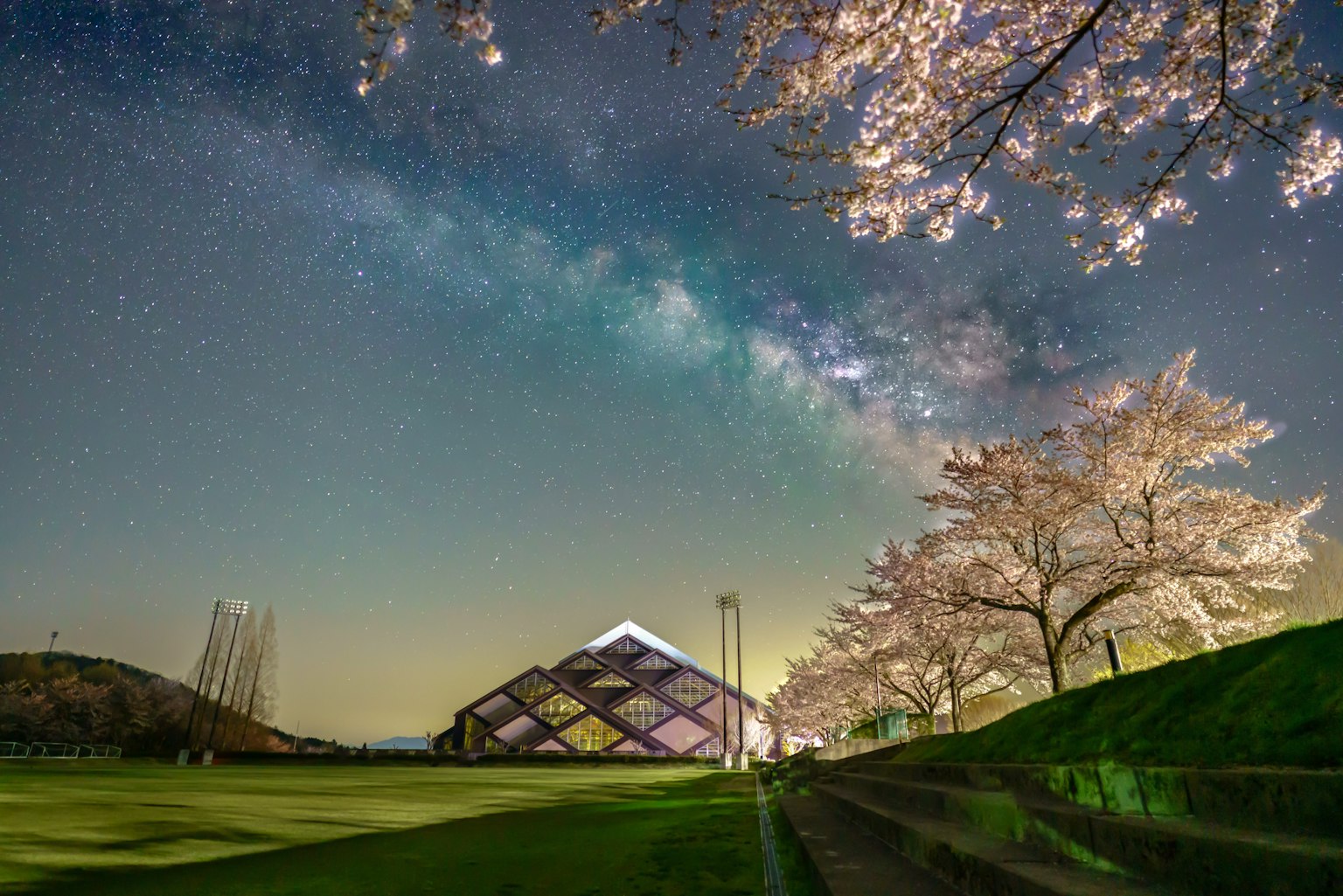 Bellissimo paesaggio con alberi di ciliegio e un edificio sotto un cielo stellato