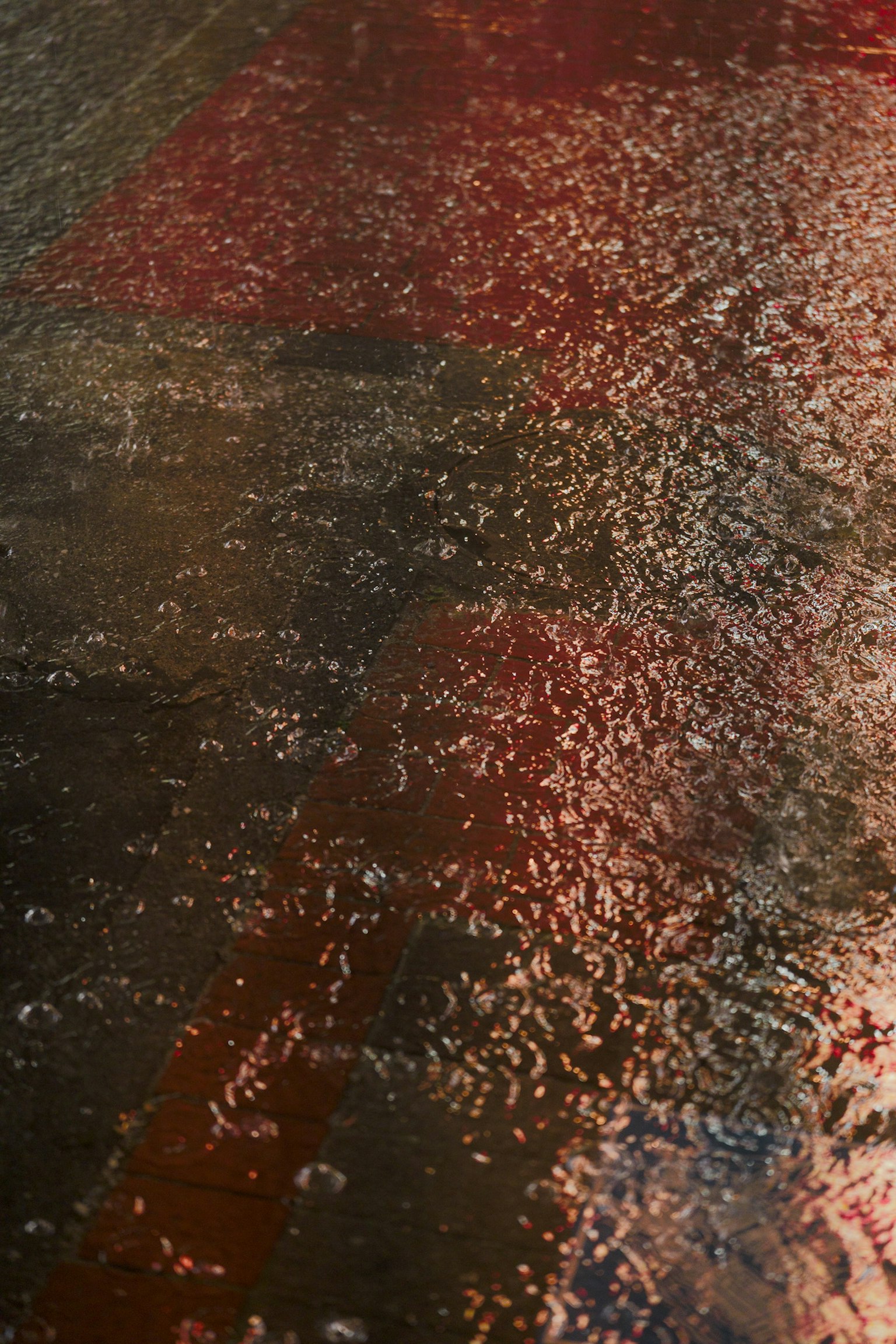 Detailed texture and colors reflecting on a wet surface