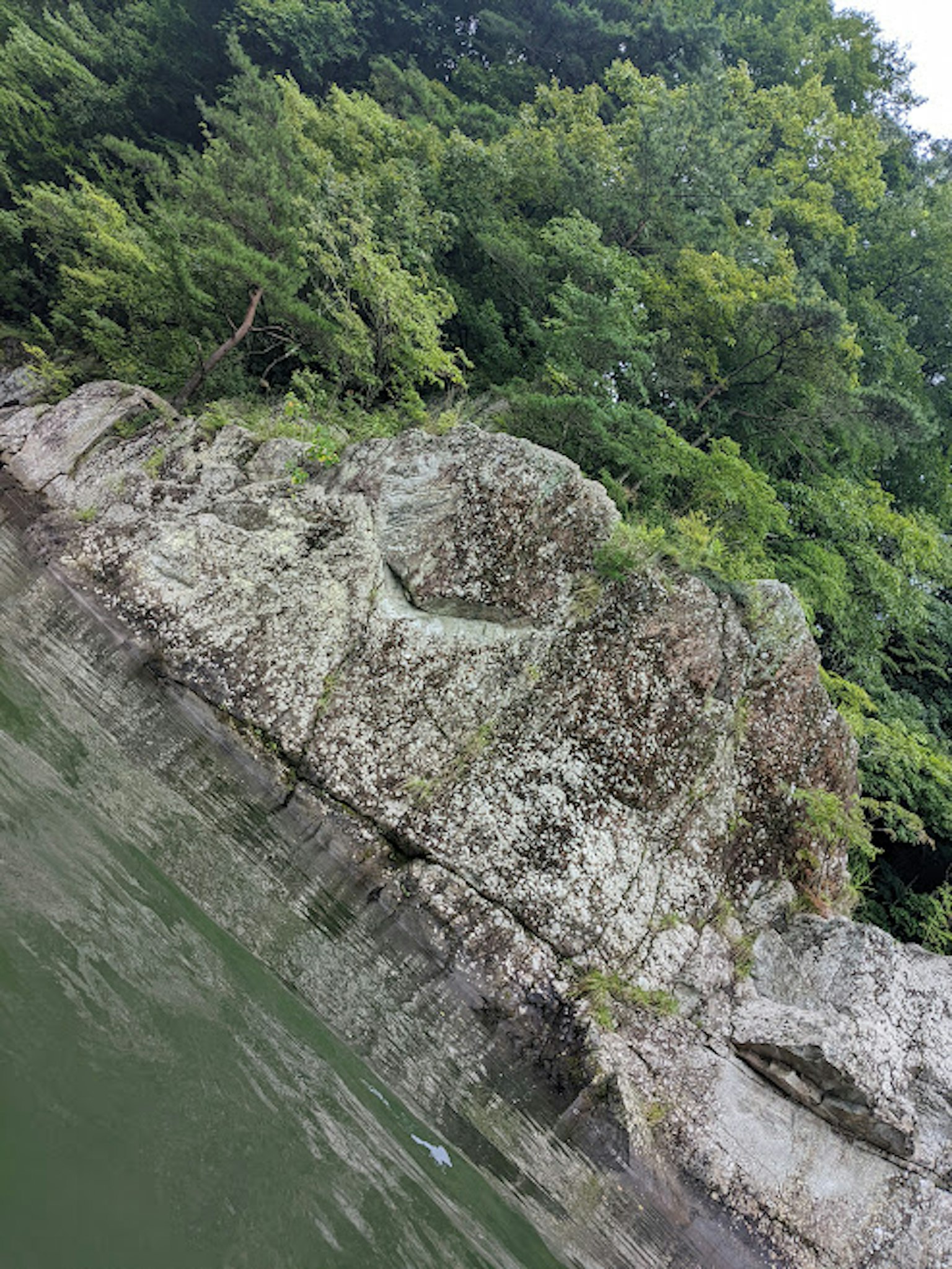 Großer Felsen am Wasser umgeben von üppigen grünen Bäumen