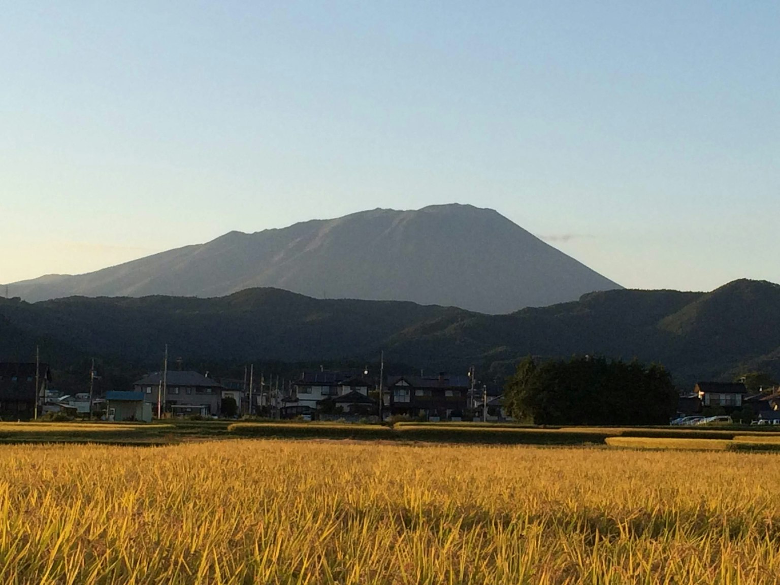 鄉村風景，遠處有金色稻田和一座山