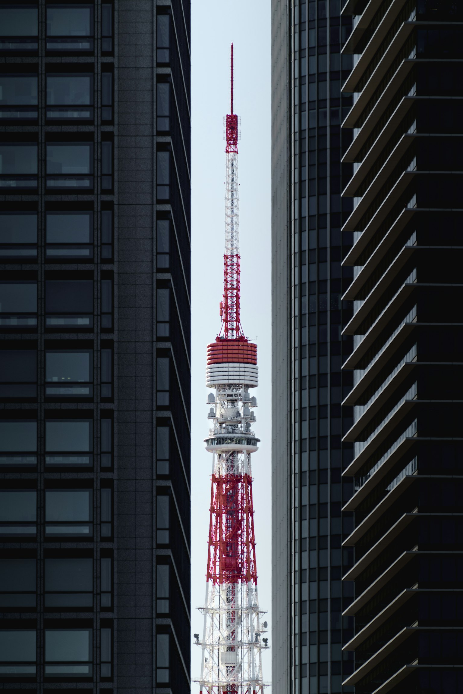 Tokyo Tower visible between skyscrapers