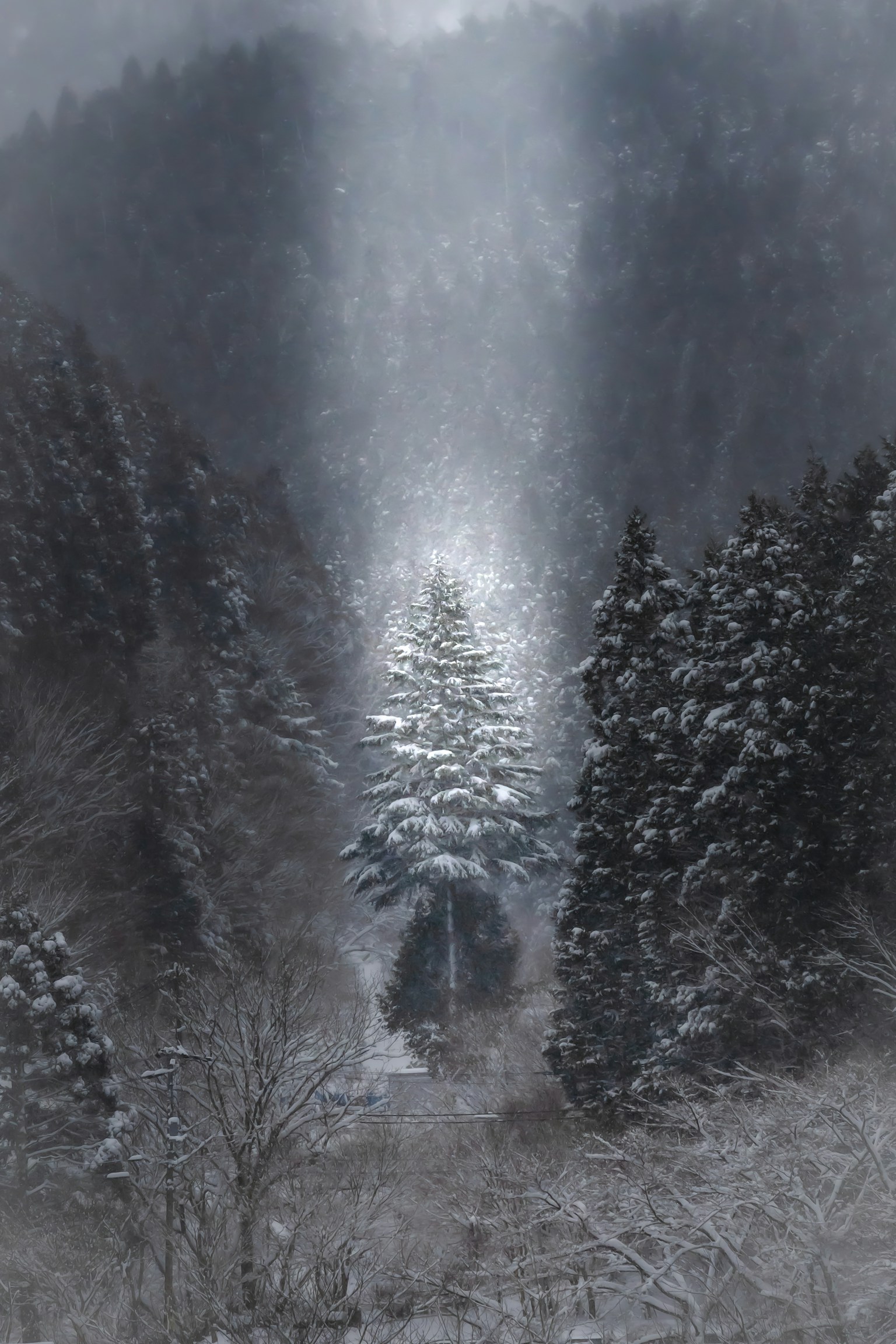 Un grand arbre couvert de neige se tenant parmi d'autres arbres dans un paysage brumeux