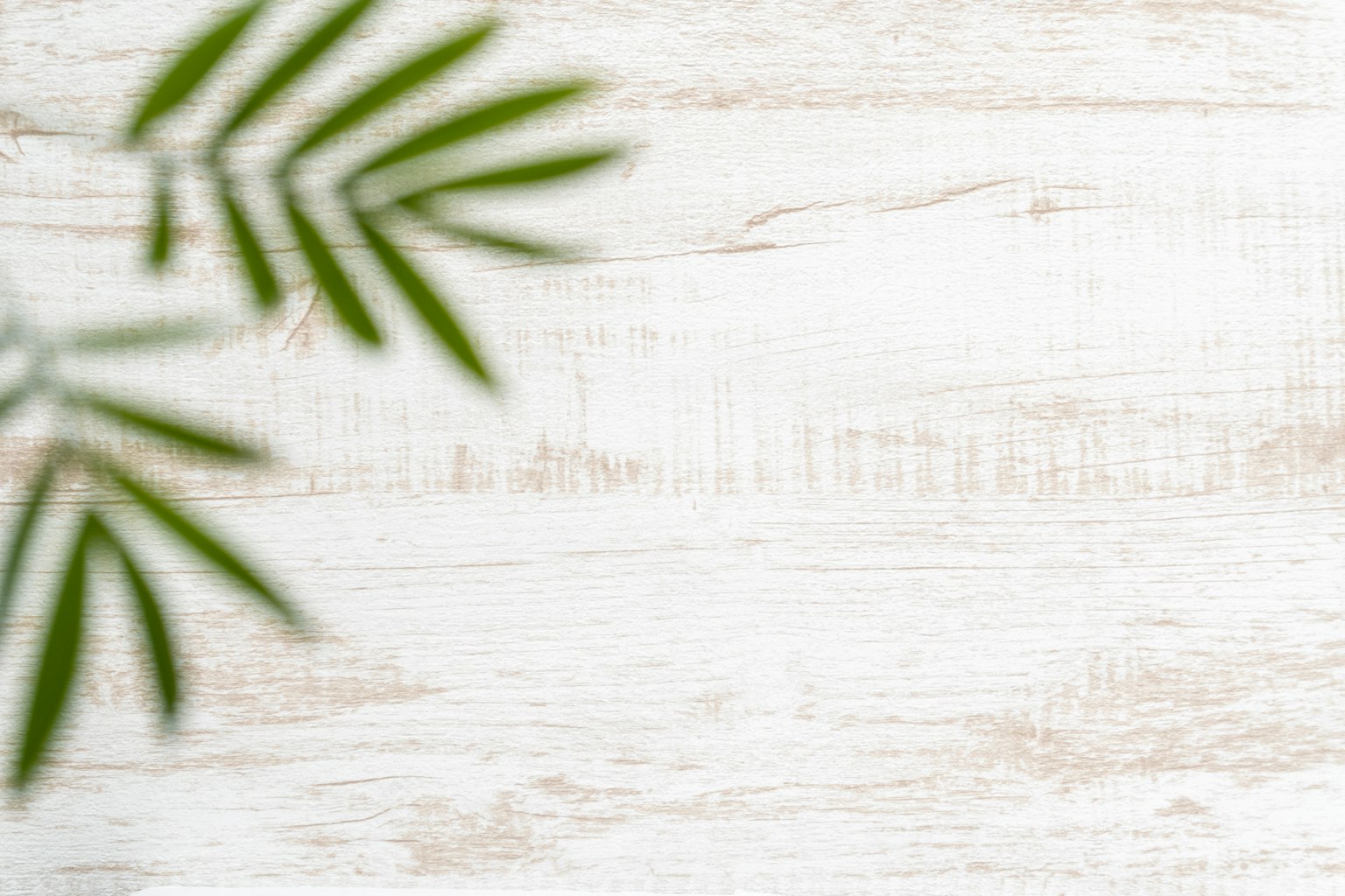 Design semplice con foglie verdi su uno sfondo in legno bianco