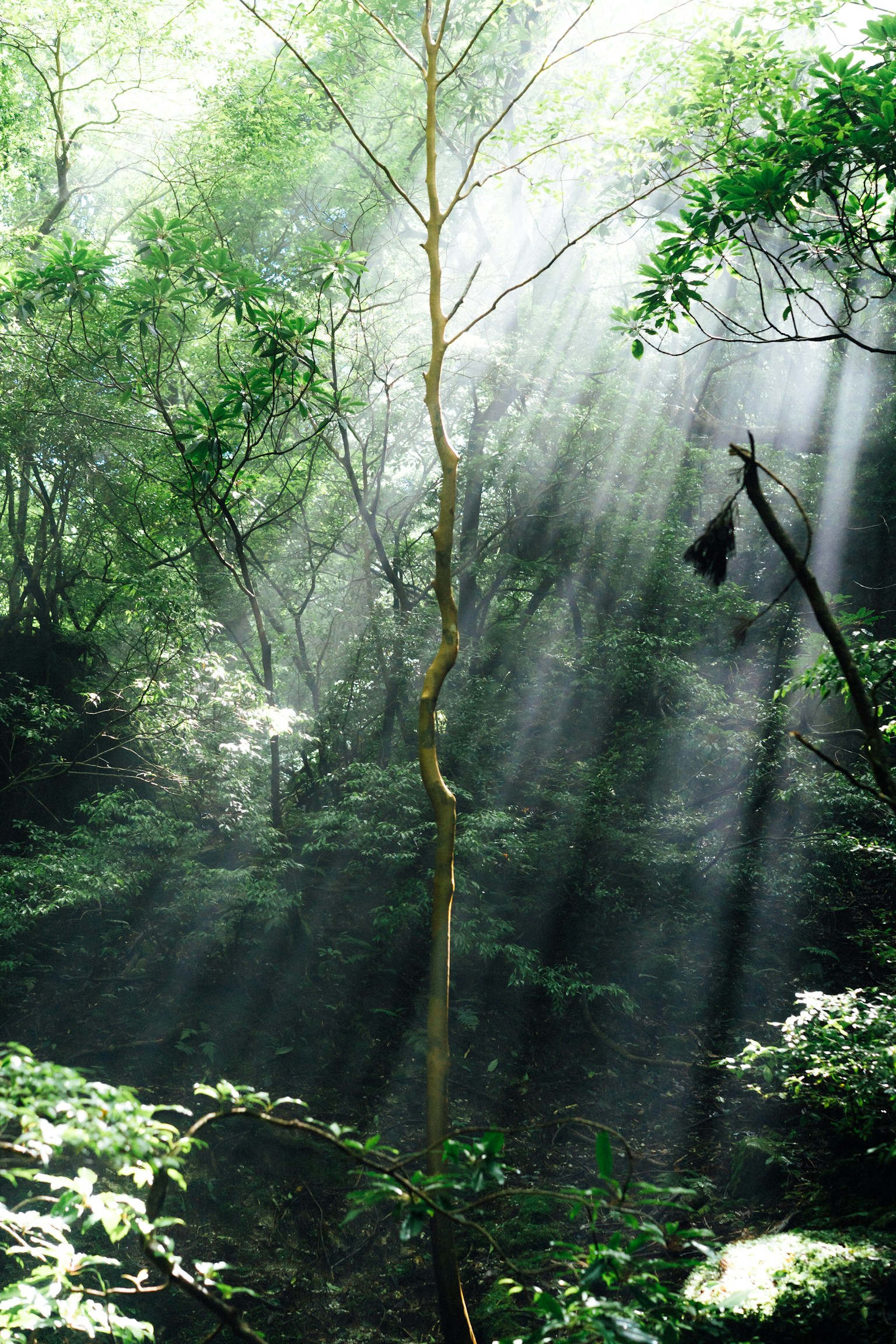 photo-a5Y24C2nGEdga55mlqCX-image