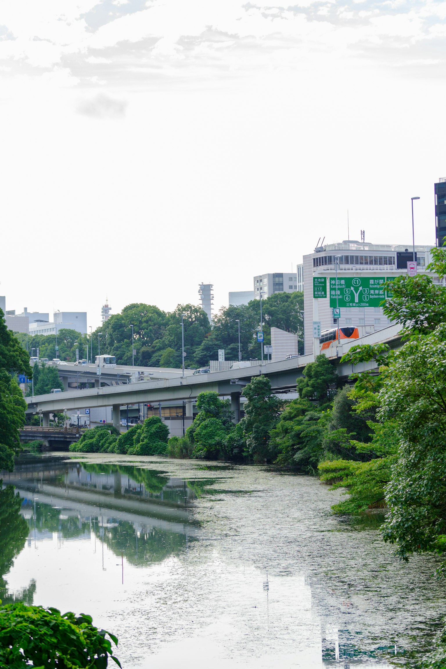 Urban landscape surrounded by river and greenery featuring a bridge and buildings
