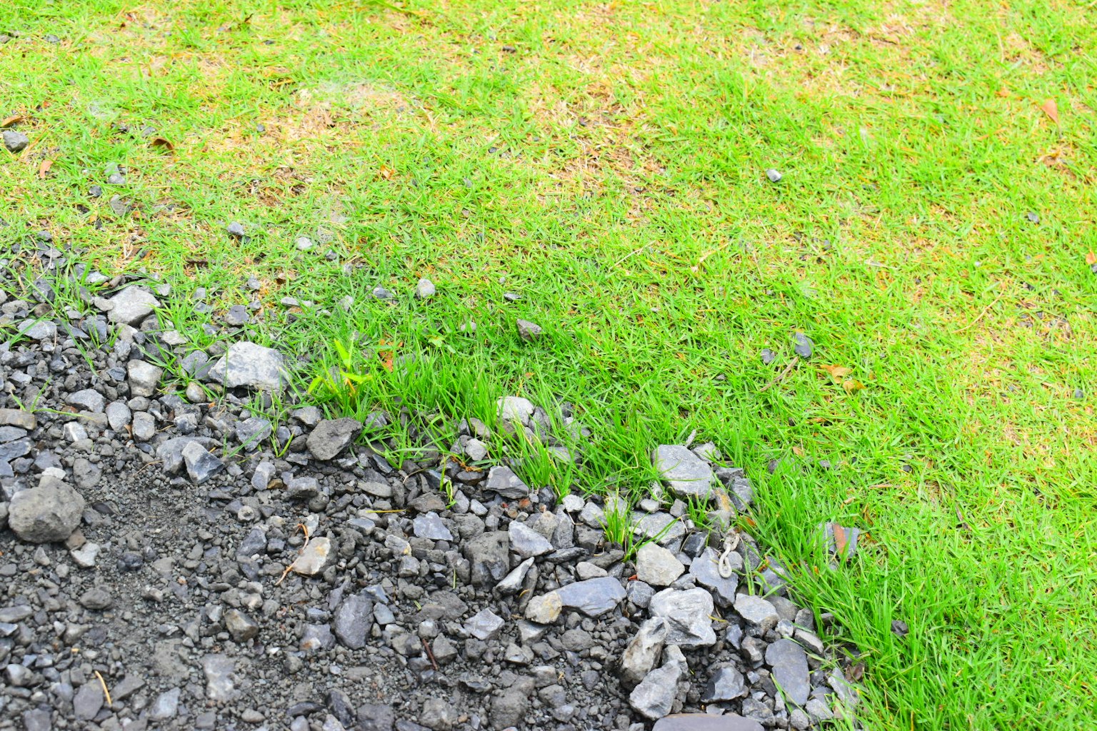 Sección de césped verde encontrando piedras negras