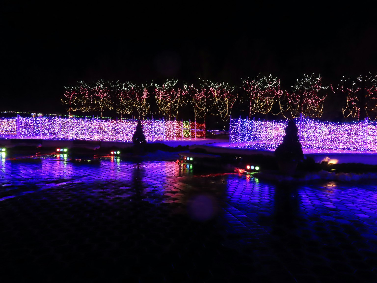 Illuminazione colorata e alberi decorati che brillano nella scena notturna