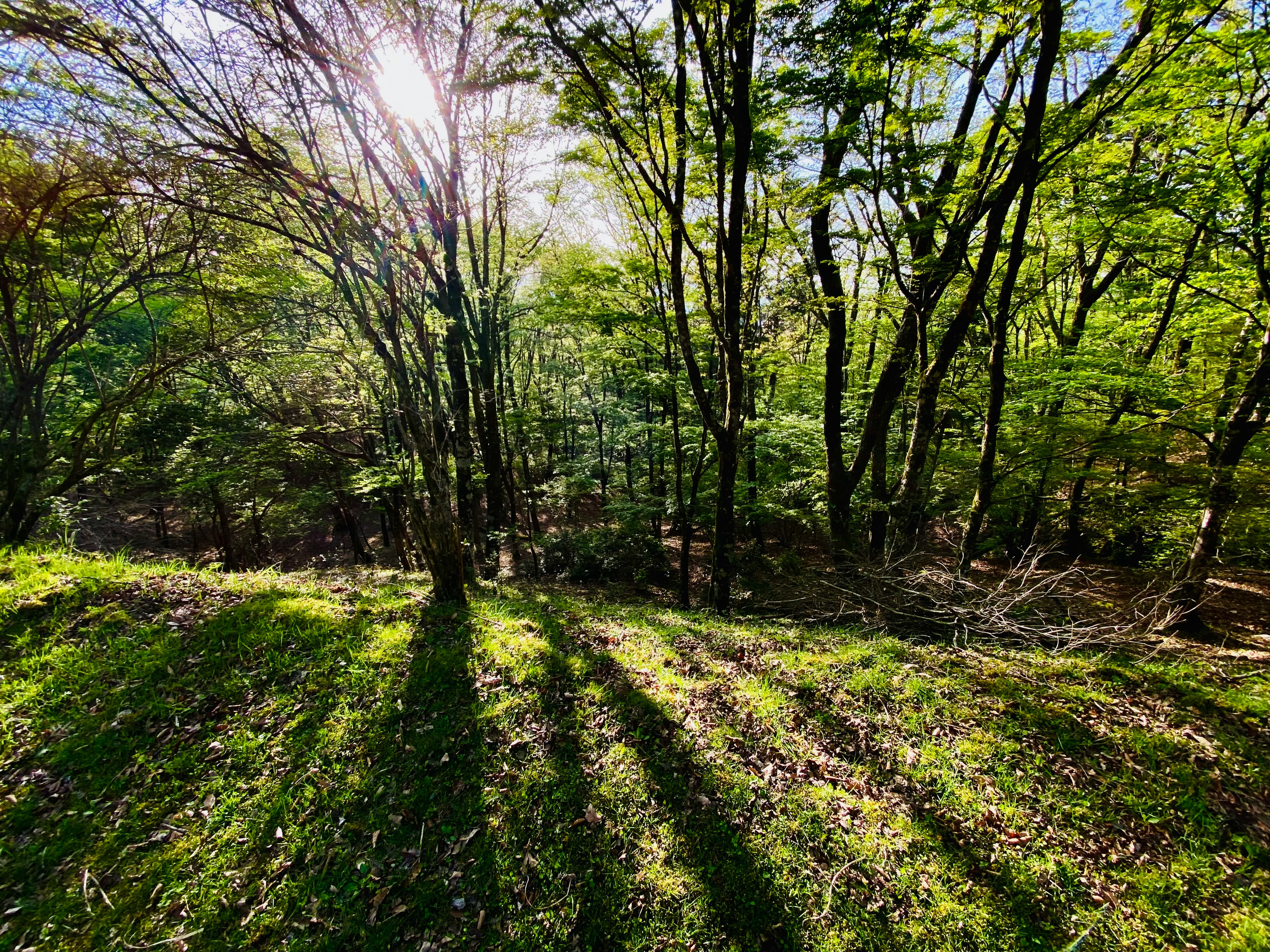 photo-a77PC41BUPgqlRi7BOeu-image