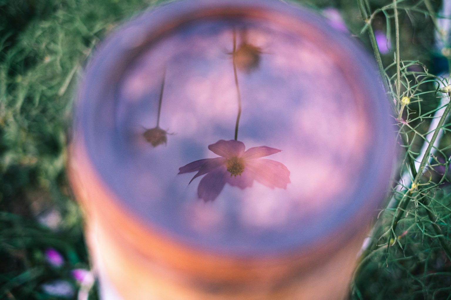Riflessione di fiori sulla superficie dell'acqua con colori tenui
