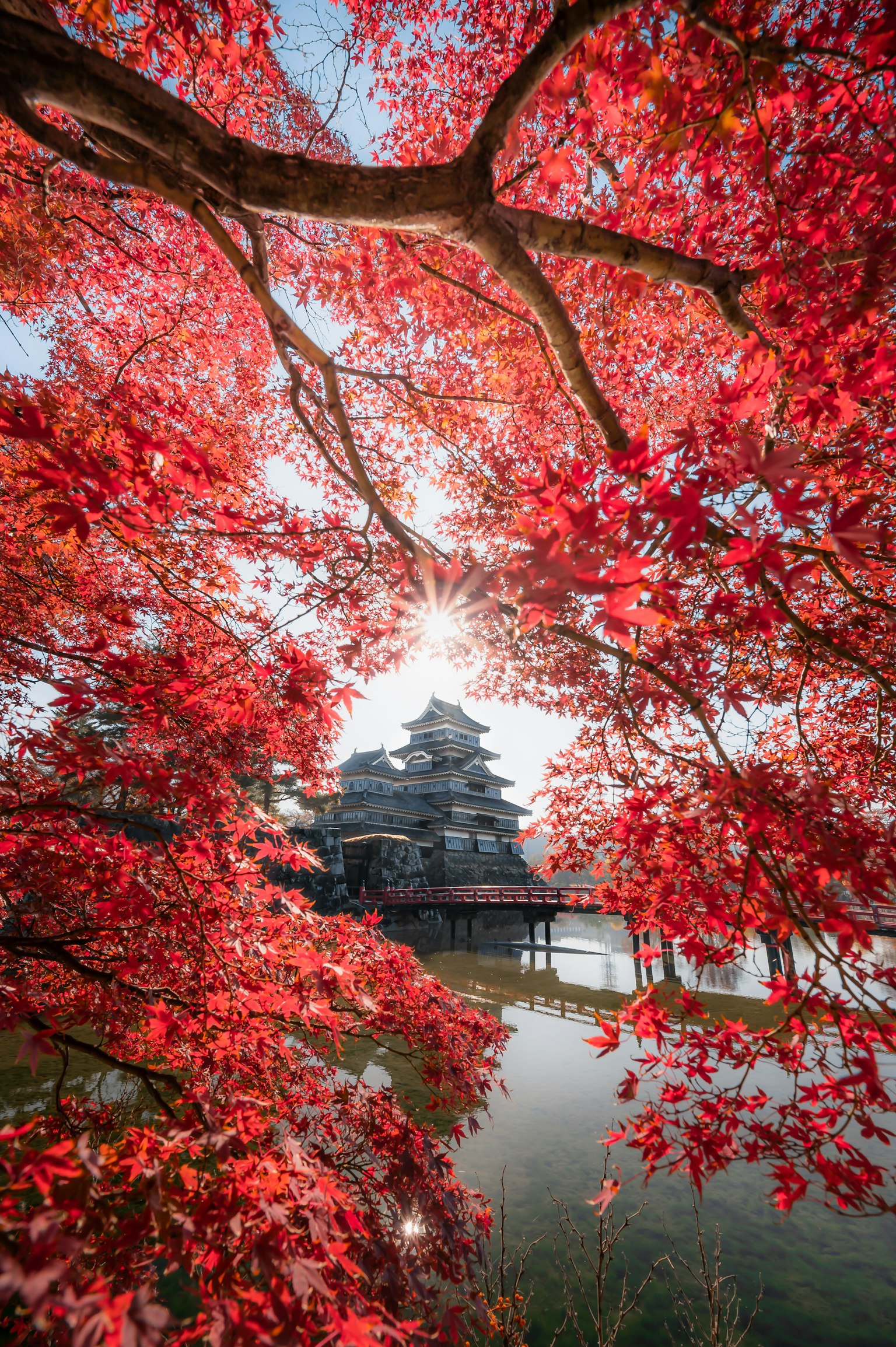 Castle surrounded by autumn foliage