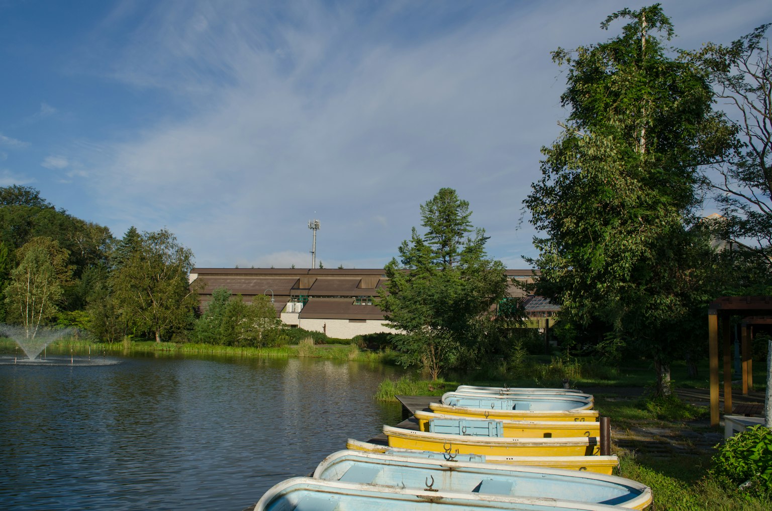 Bateaux jaunes alignés au bord d'un lac serein avec des arbres verts