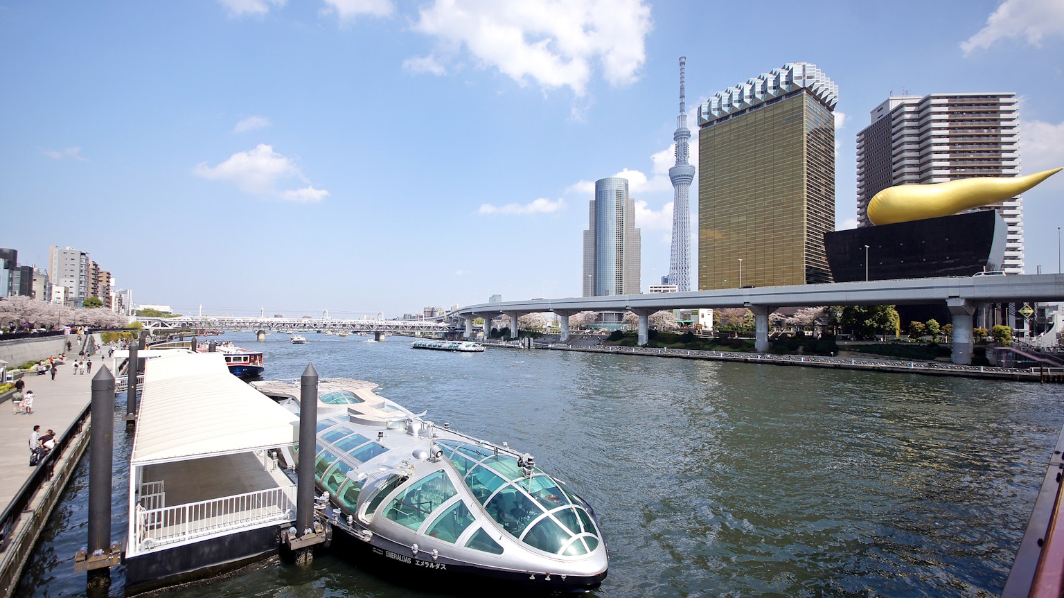 Vista del fiume Sumida con Tokyo Skytree e edifici unici