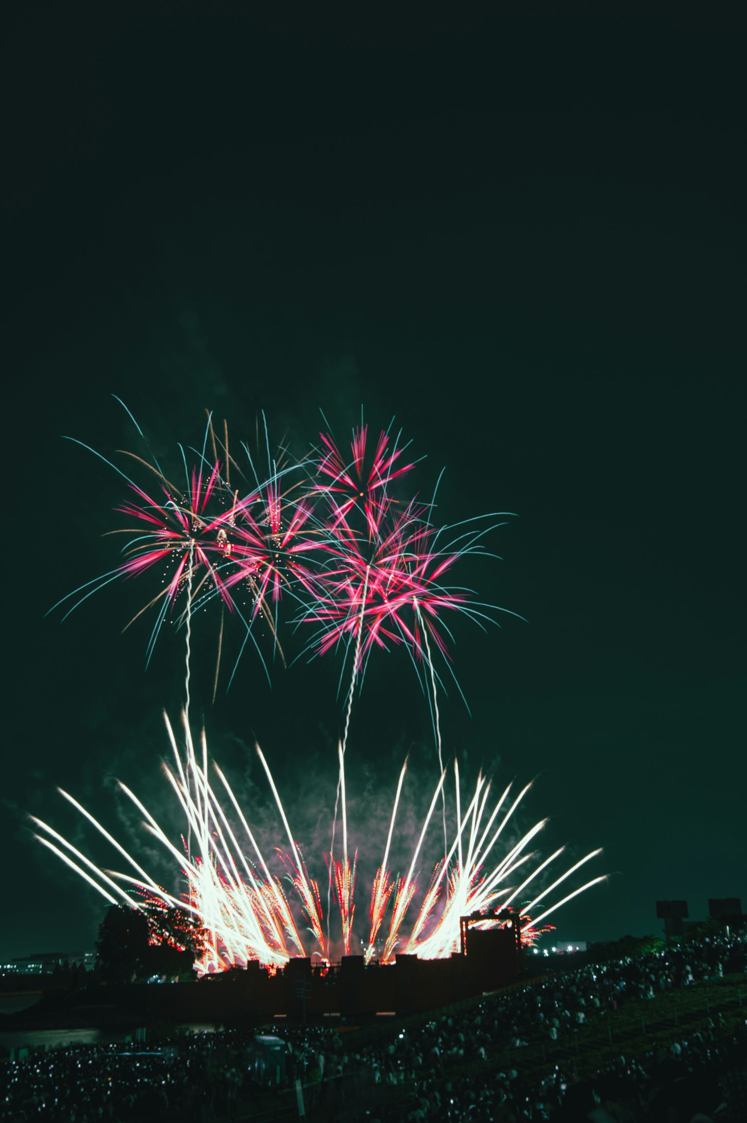 Momento bellissimo di fuochi d'artificio che fioriscono nel cielo notturno