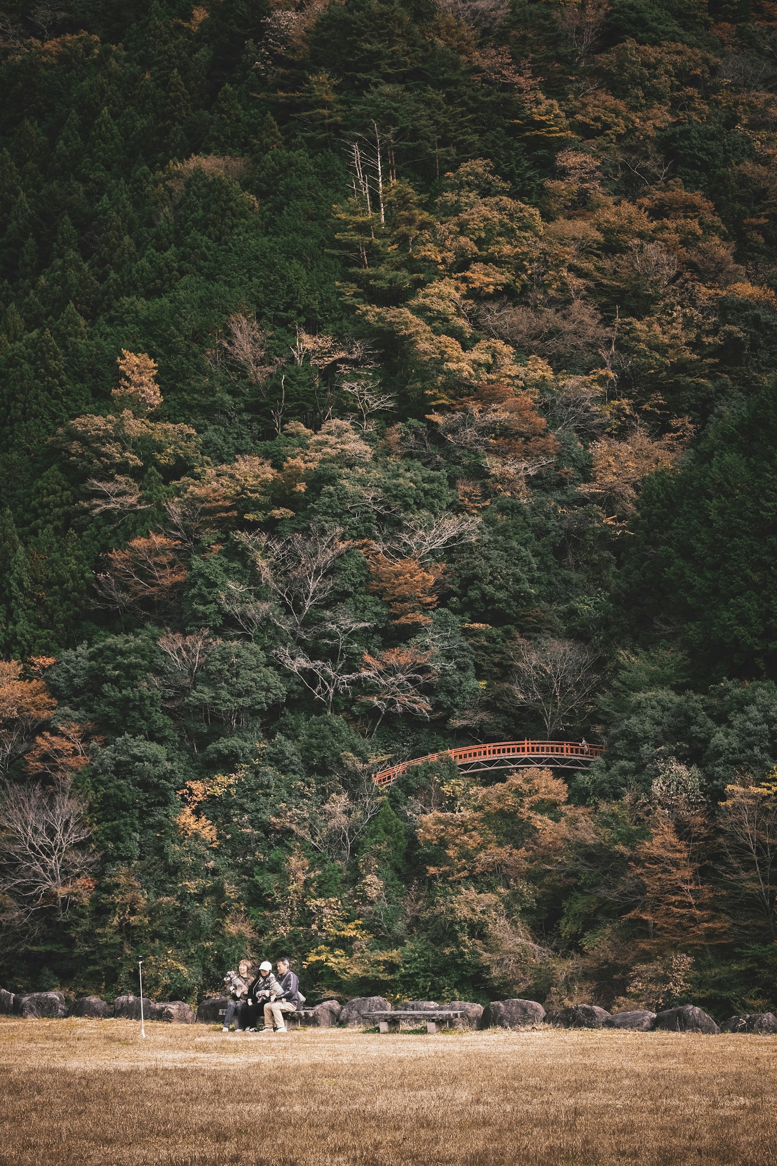 Silhouettes of people standing in a landscape surrounded by autumn-colored trees