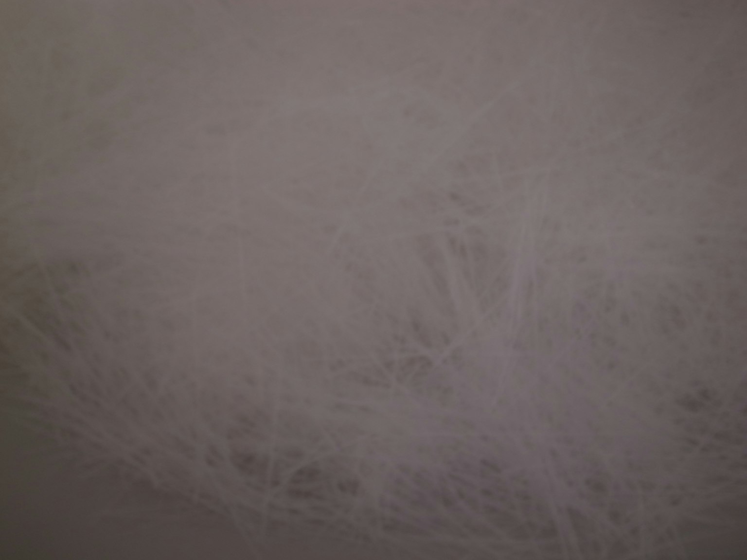 Immagine astratta con motivi di linee delicate su sfondo chiaro