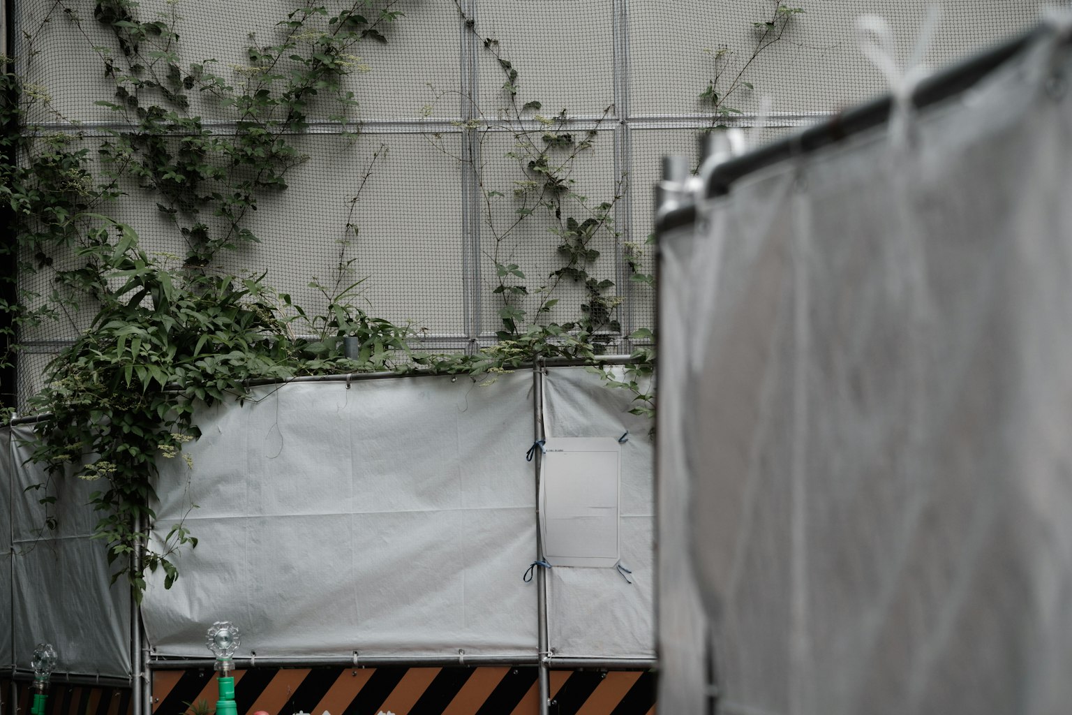 Part of a wall covered with white fabric and green vines