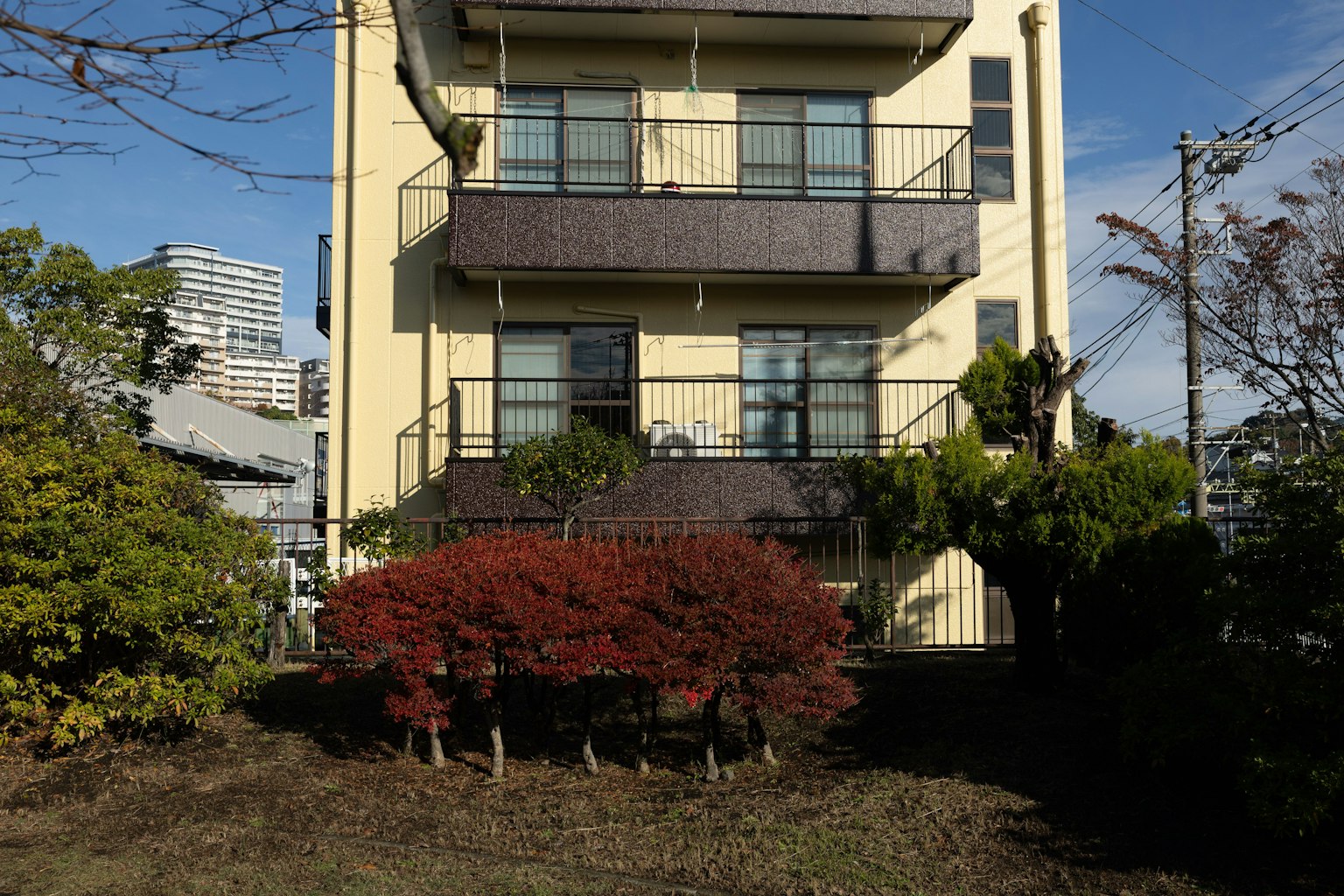 Bangunan kuning dengan lansekap hijau dan semak merah