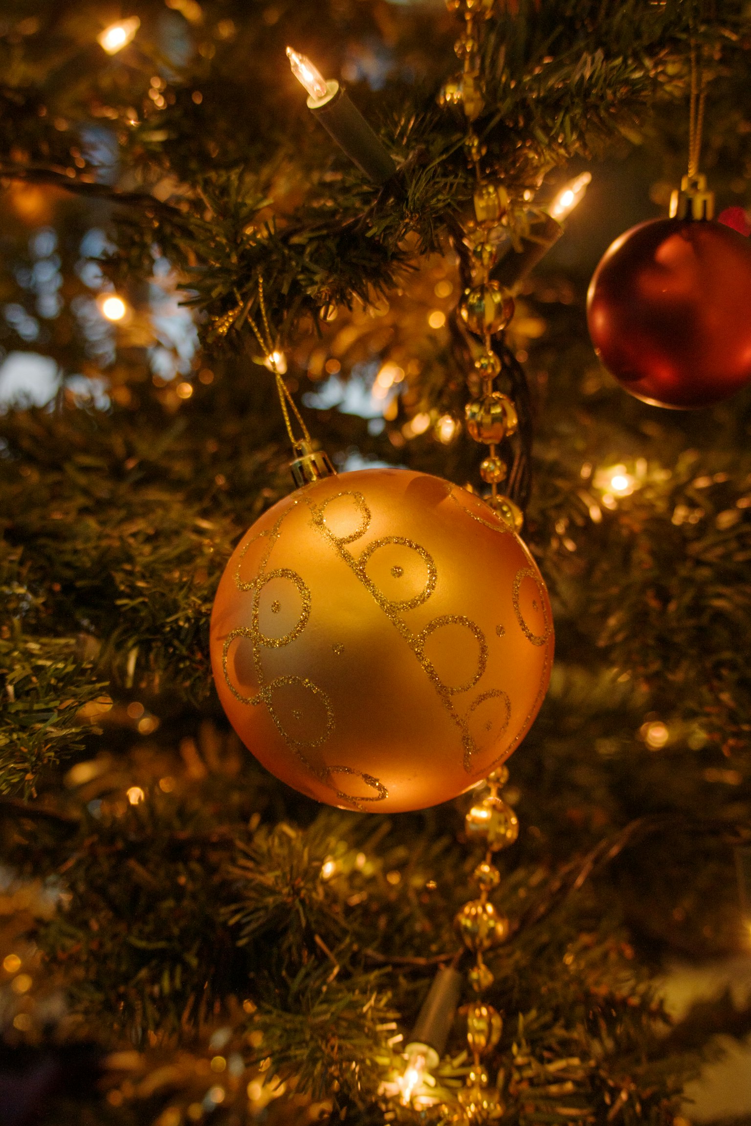 Cận cảnh của một đồ trang trí vàng và một đồ trang trí đỏ trên cây thông Noel