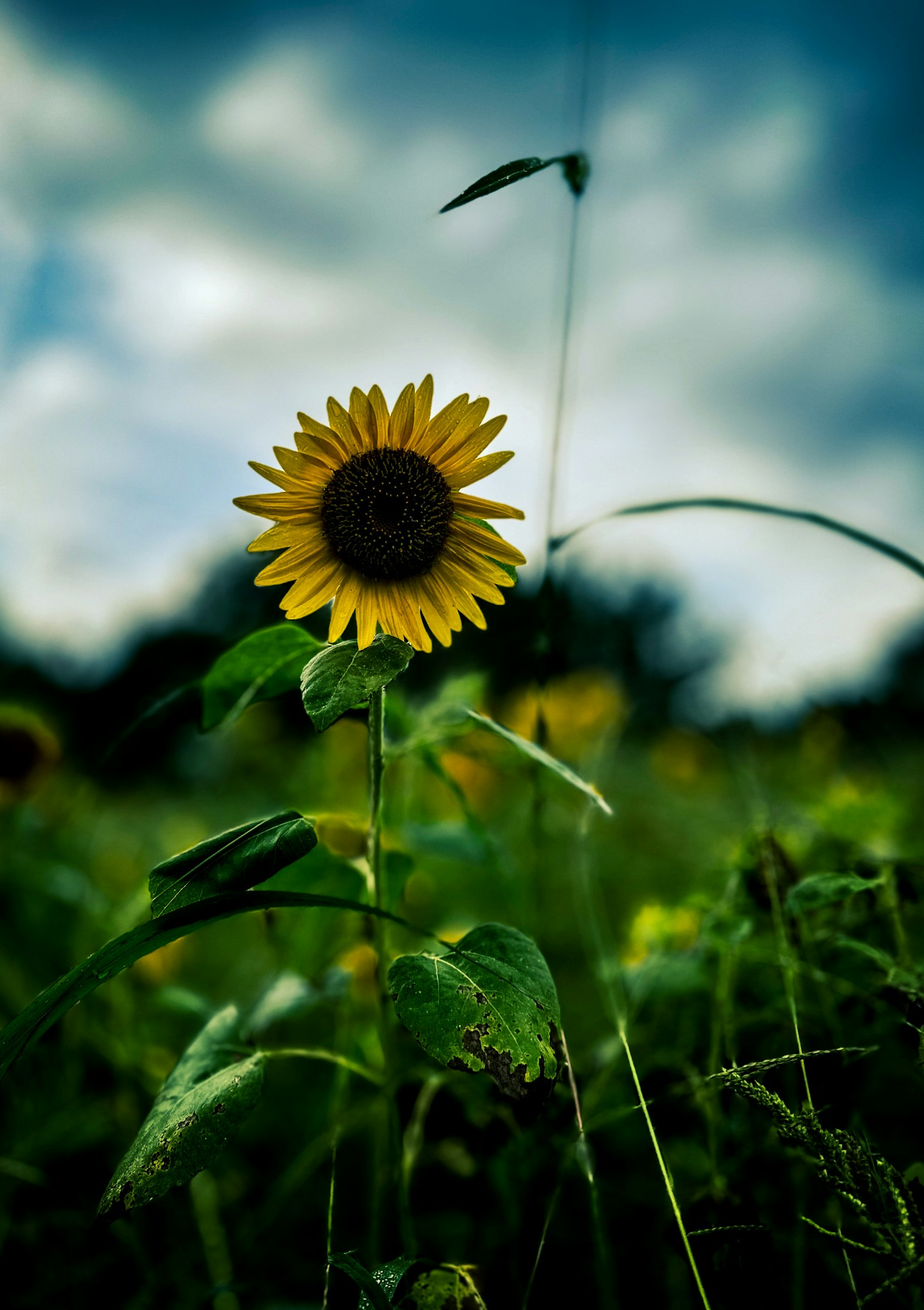 photo-a9QzKf73Yx1ZJcvrKjgR-image