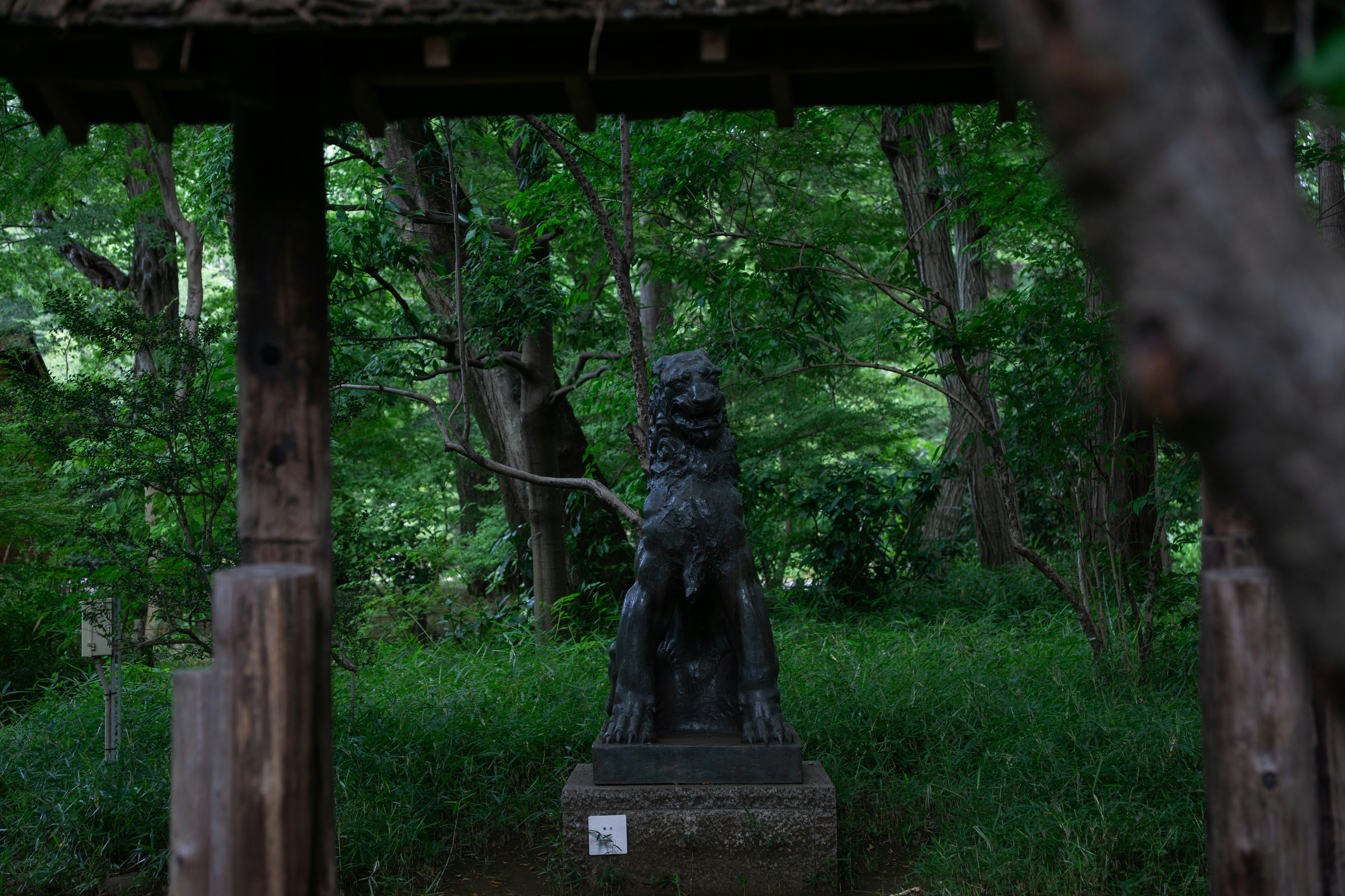 木々に囲まれた石像のある森の小道