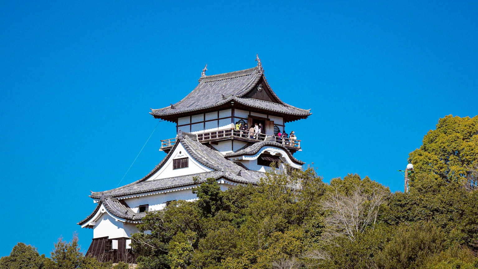 photo-a9p8hXLU5479zmX9Negw-image