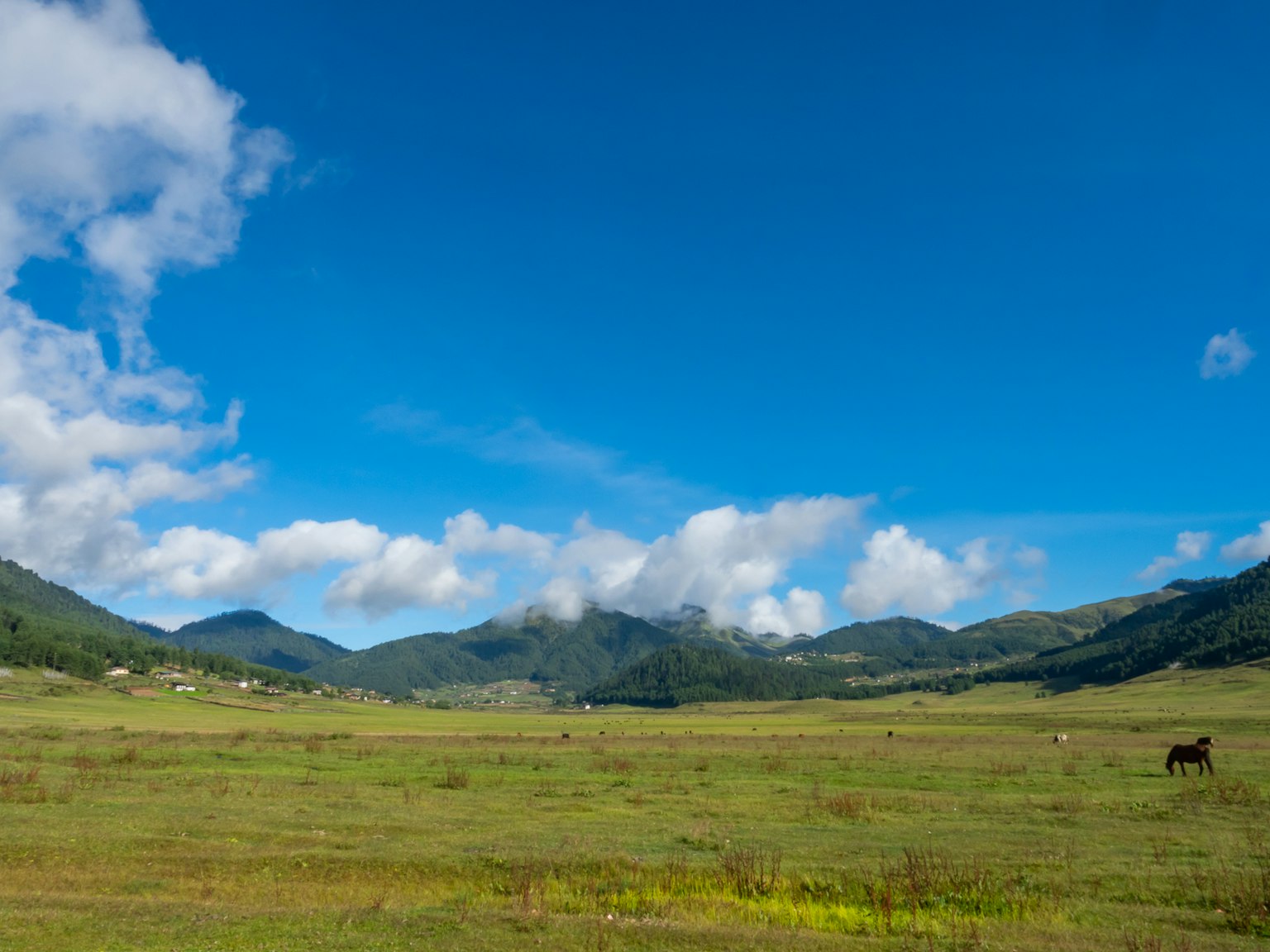 Weite Wiese unter einem hellblauen Himmel mit Bergen und Wolken