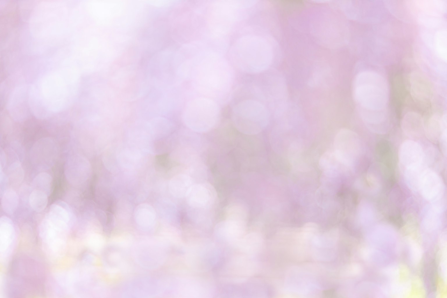 Fond flou violet doux