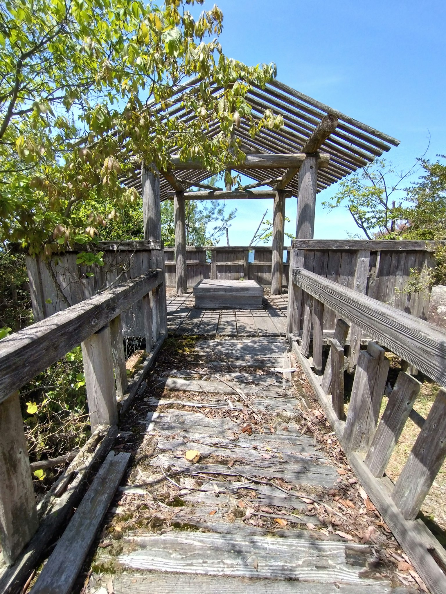 Wooden walkway leading to a covered observation deck surrounded by greenery