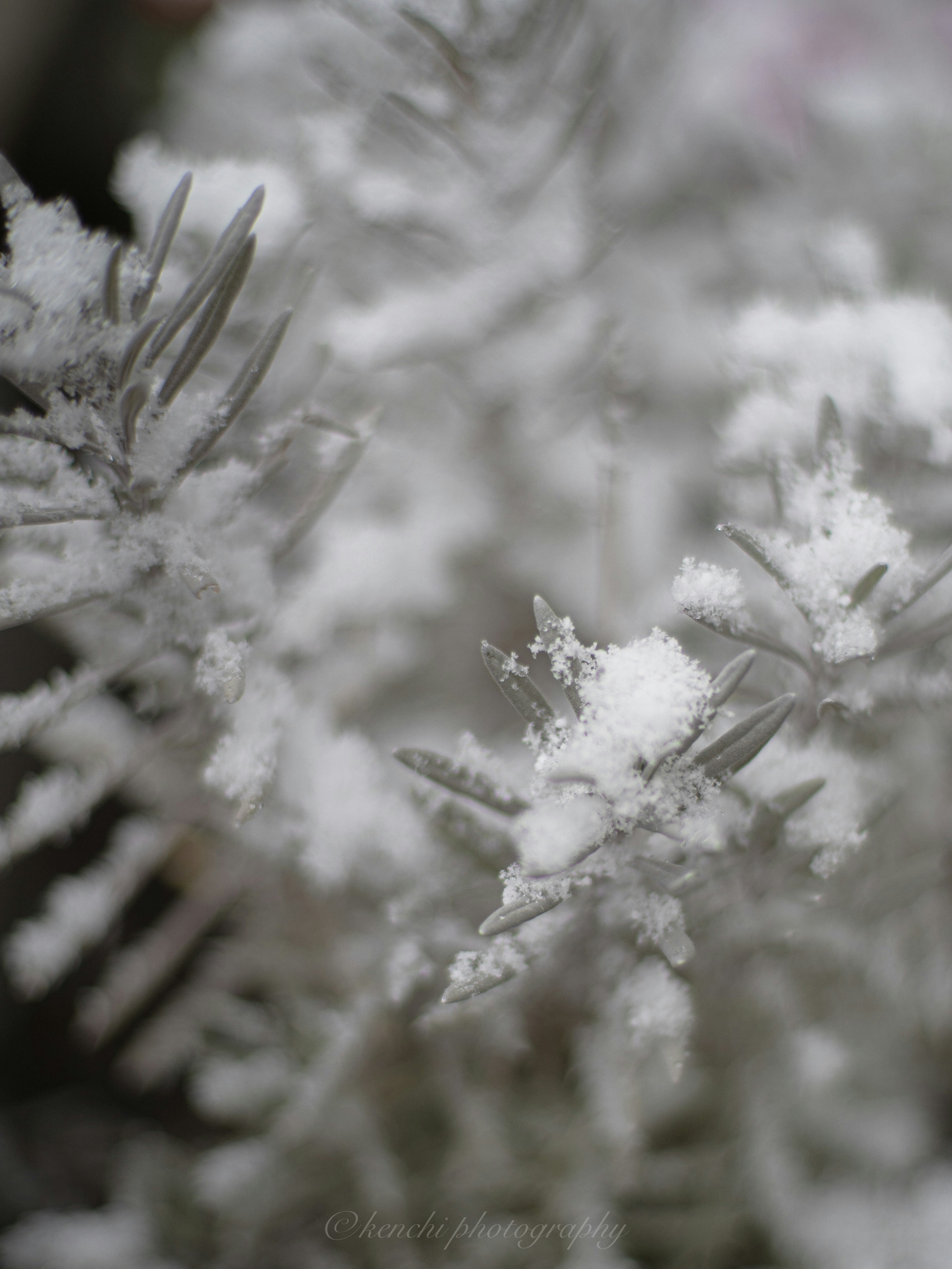 weiße Schneeflocken überlappen sich auf einer zarten Textur
