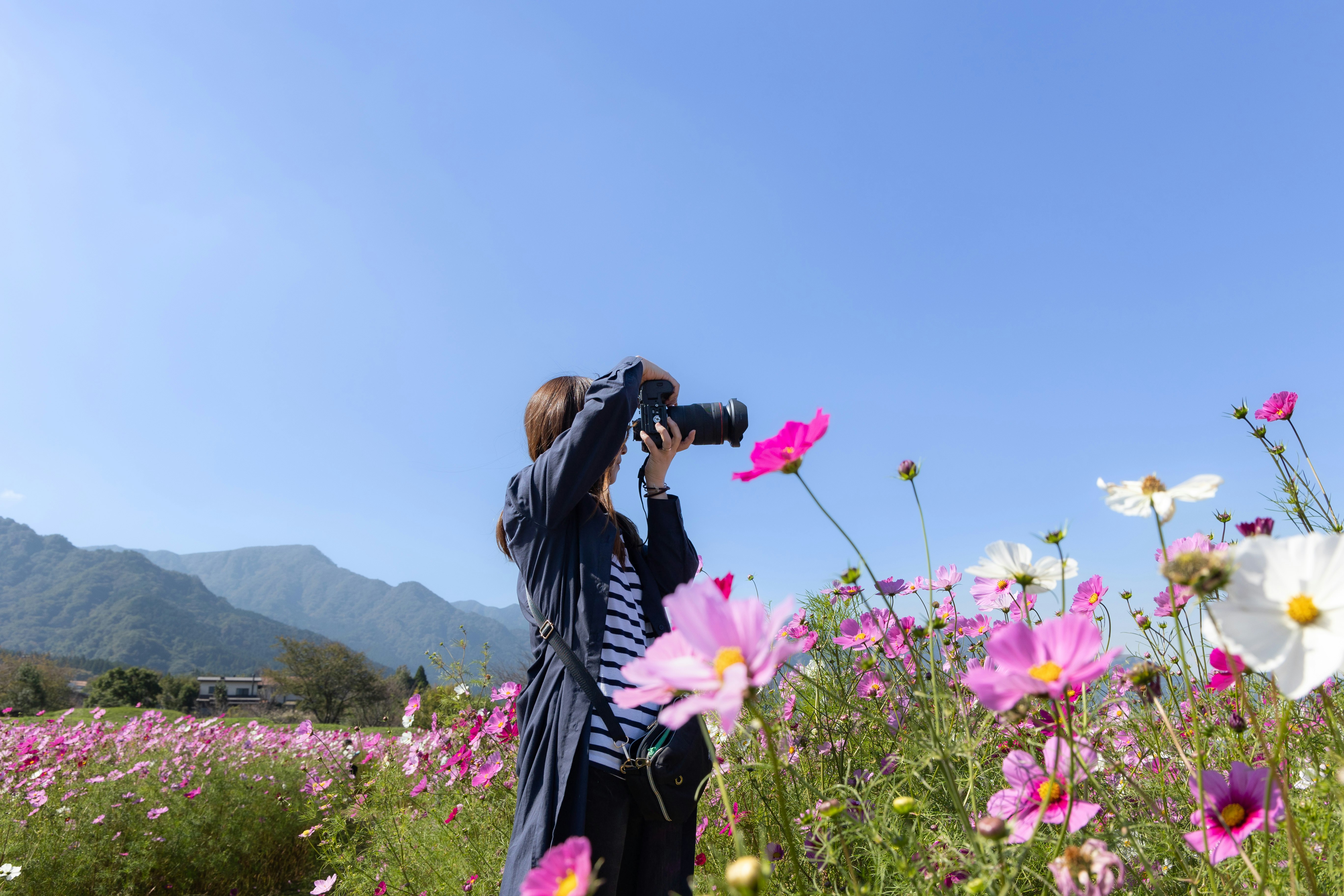 山並みを背景に花畑でカメラを構える人物