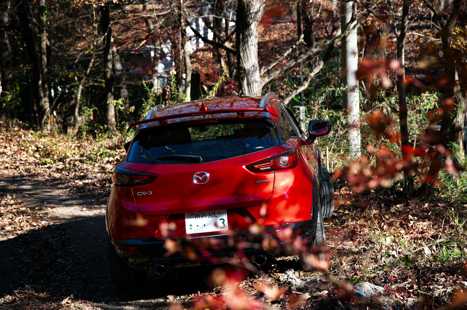 Xe Mazda màu đỏ đậu trên con đường trong rừng vào mùa thu