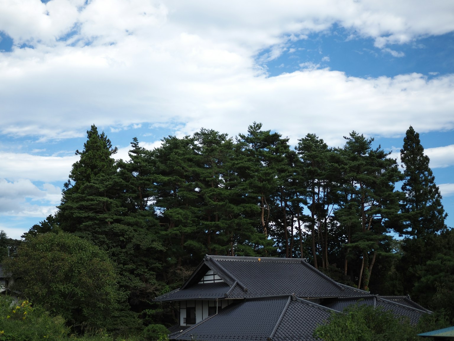 Casa tradizionale giapponese circondata da vegetazione lussureggiante sotto un cielo blu