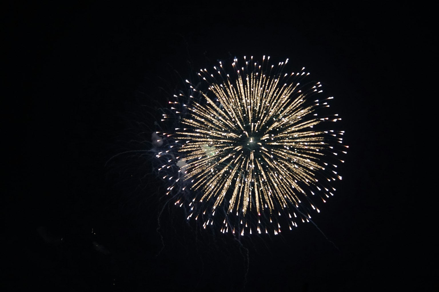 Fuegos artificiales dorados estallando en el cielo nocturno