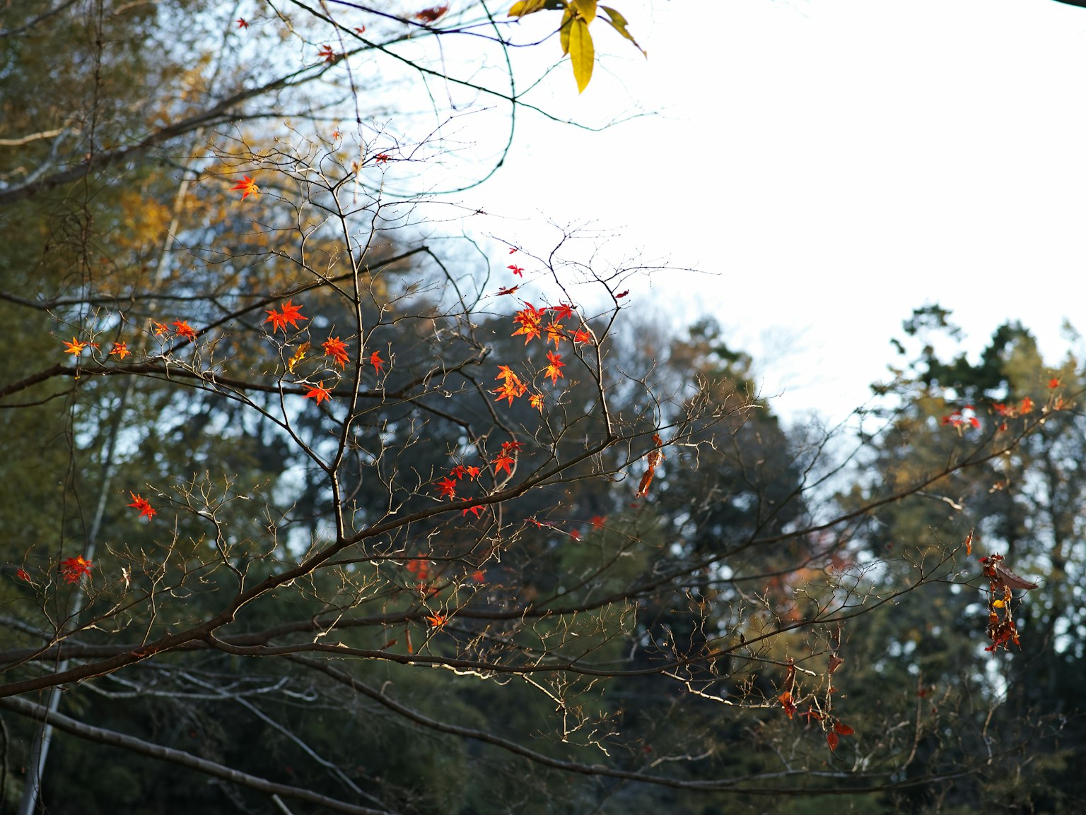 photo-aDP3HA7xYLYnZTPgF08y-image