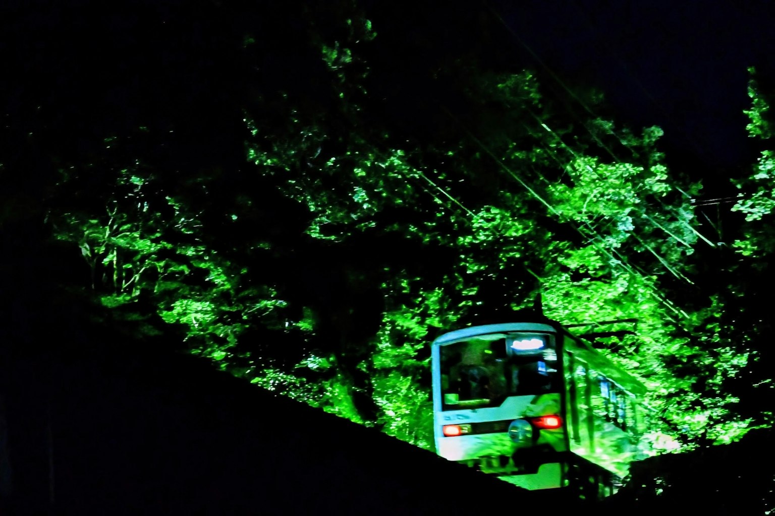 Tren atravesando un bosque iluminado de verde por la noche