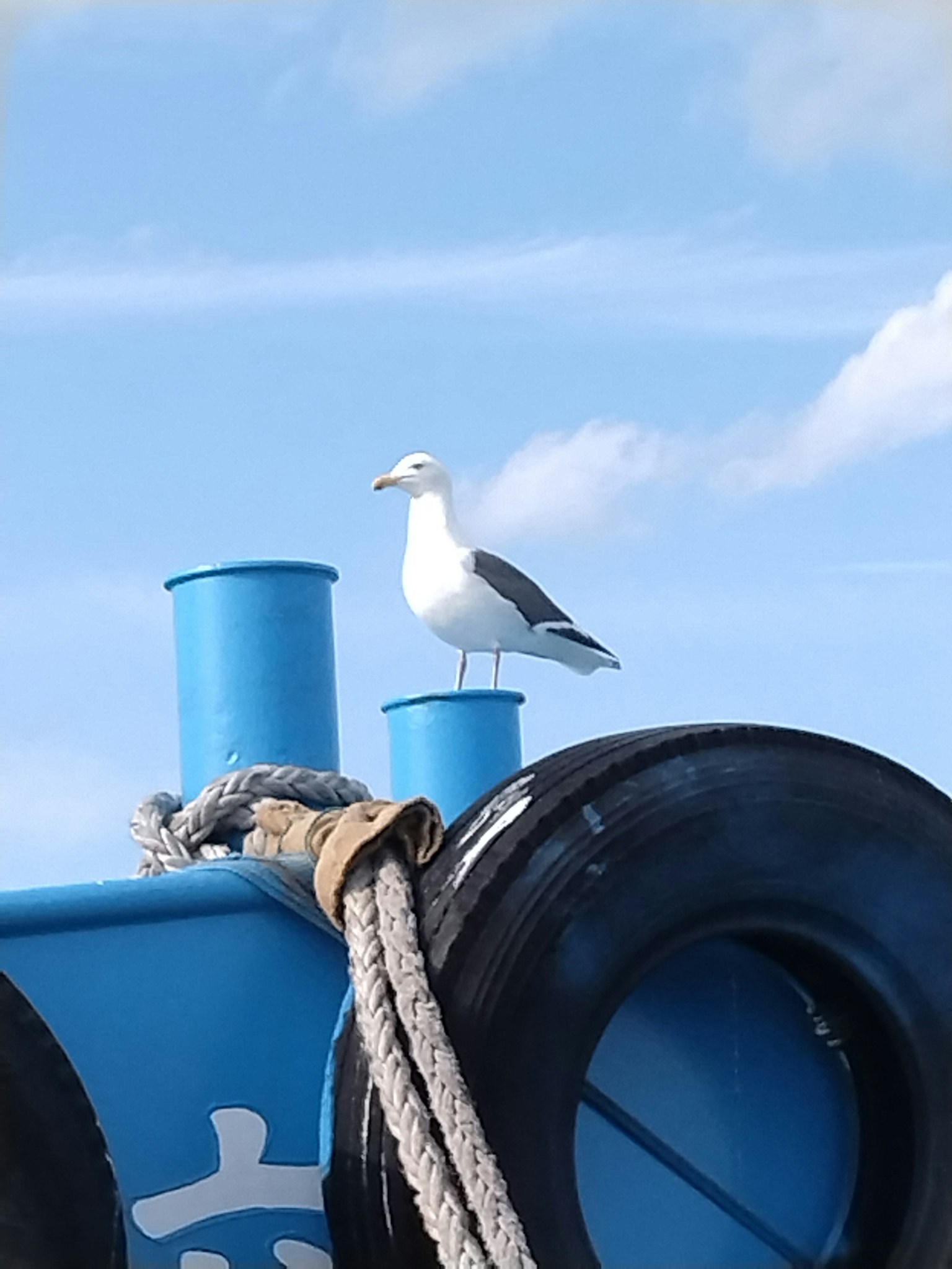 photo-aDdPGaqaf67GrAPhO3GY-image