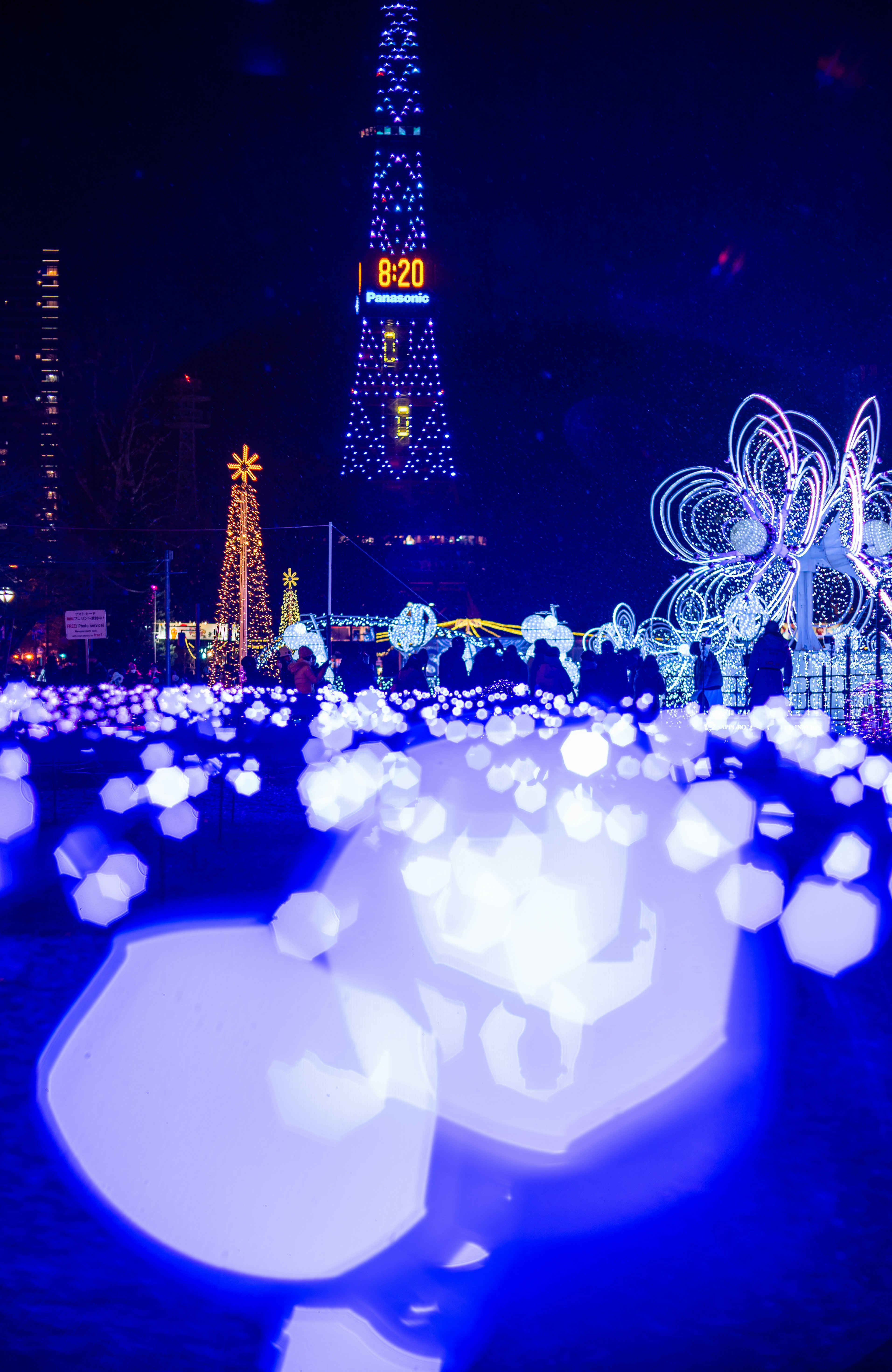 night view of a blue-lit Christmas-style illuminated garden