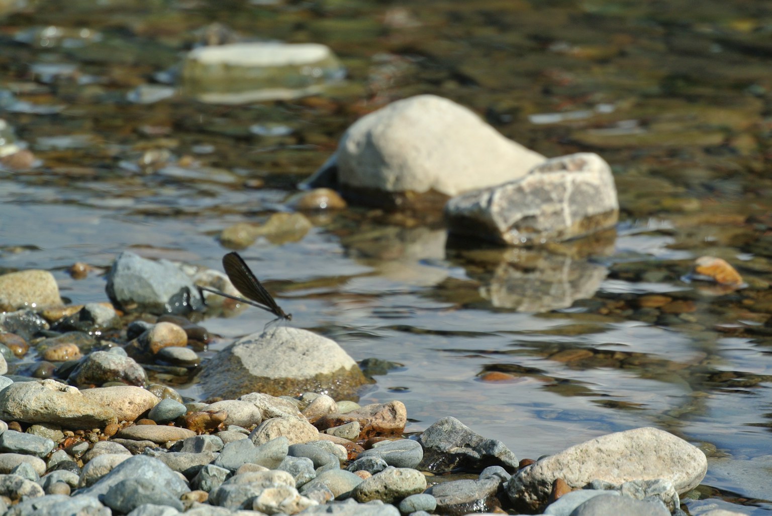 Natural landscape showing stones and water reflections at a riverbank