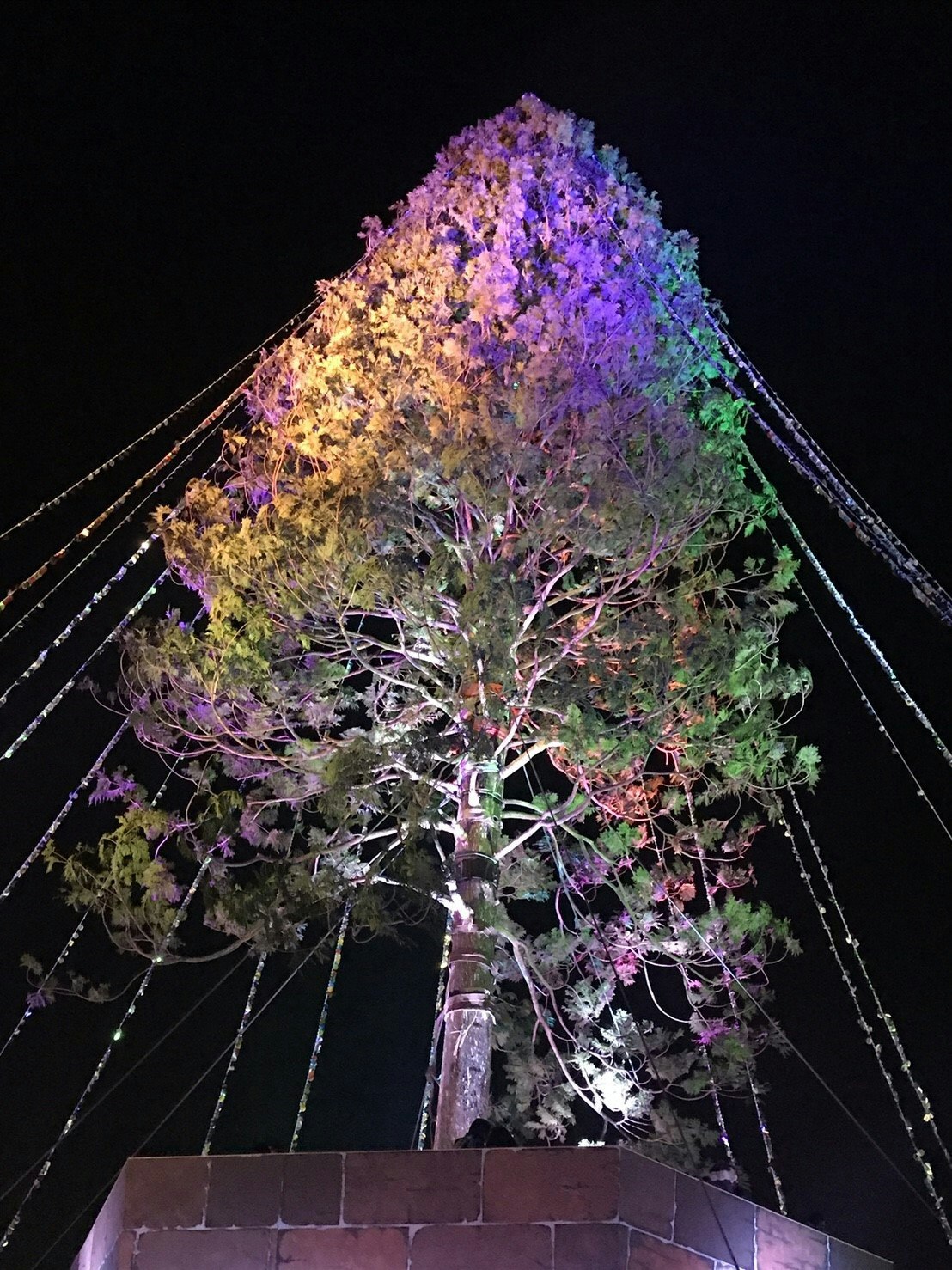 夜空中的发光树