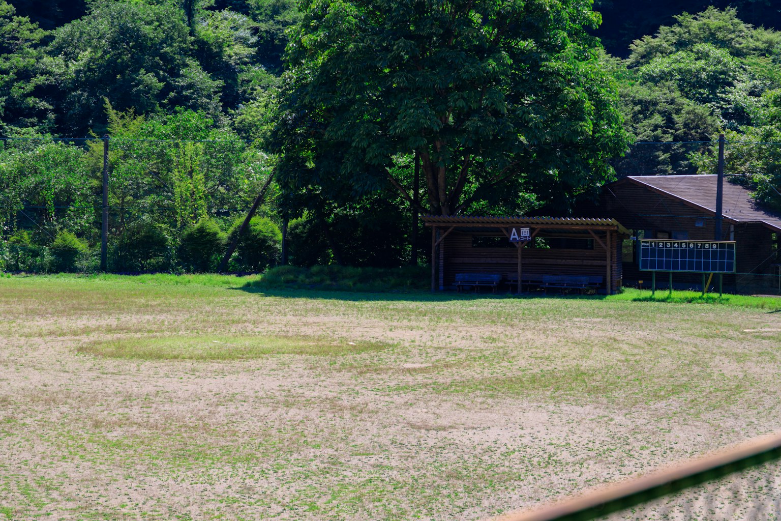 Un campo de hierba rodeado de árboles con un pequeño cobertizo visible
