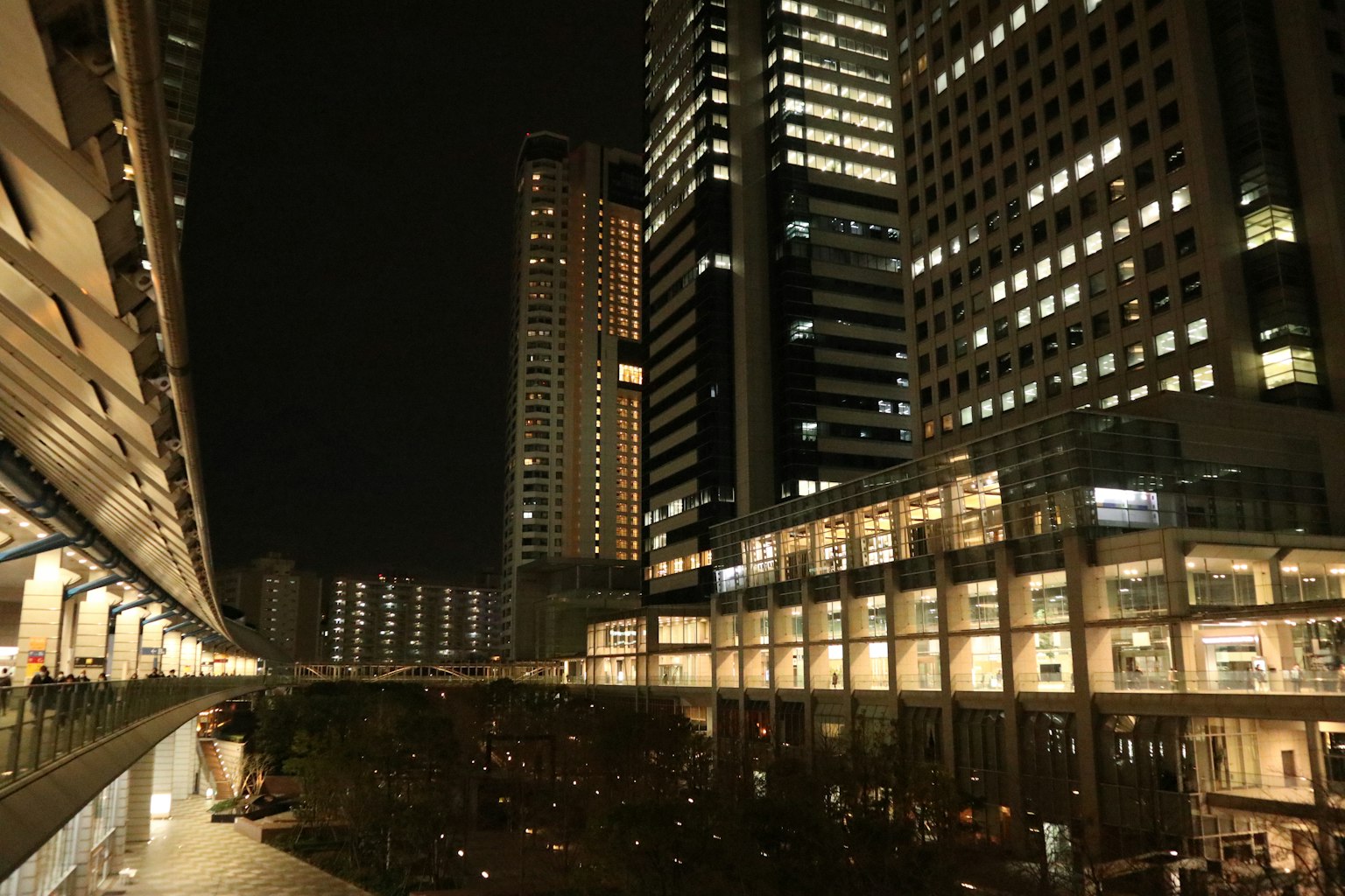 Night view of skyscrapers and illuminated storefronts