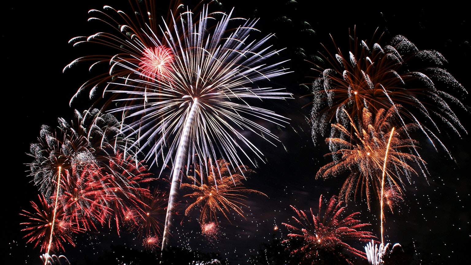 Colorful fireworks bursting in the night sky