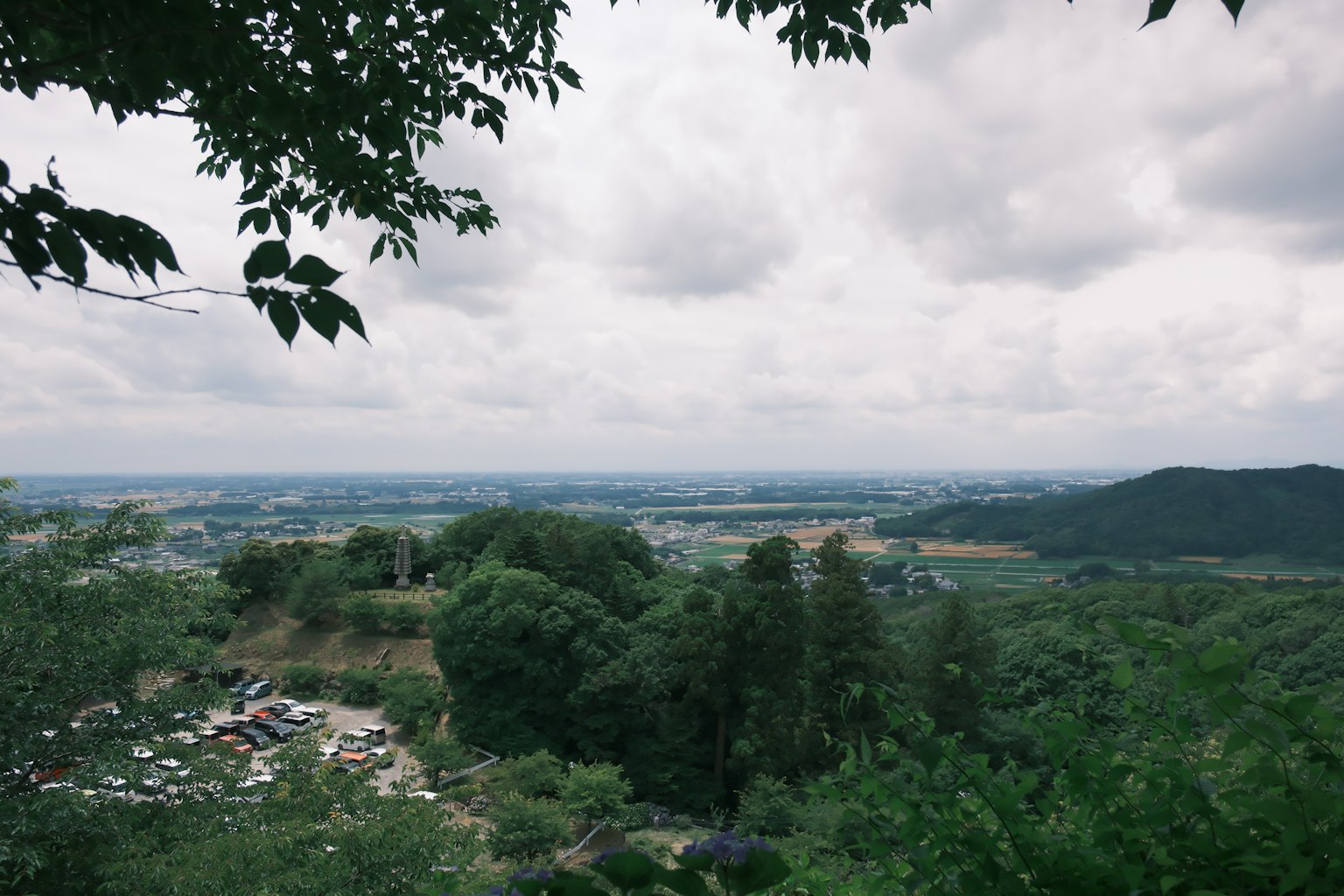ทิวทัศน์แบบพาโนรามาของพืชพรรณอุดมสมบูรณ์ใต้ท้องฟ้าที่มีเมฆมาก