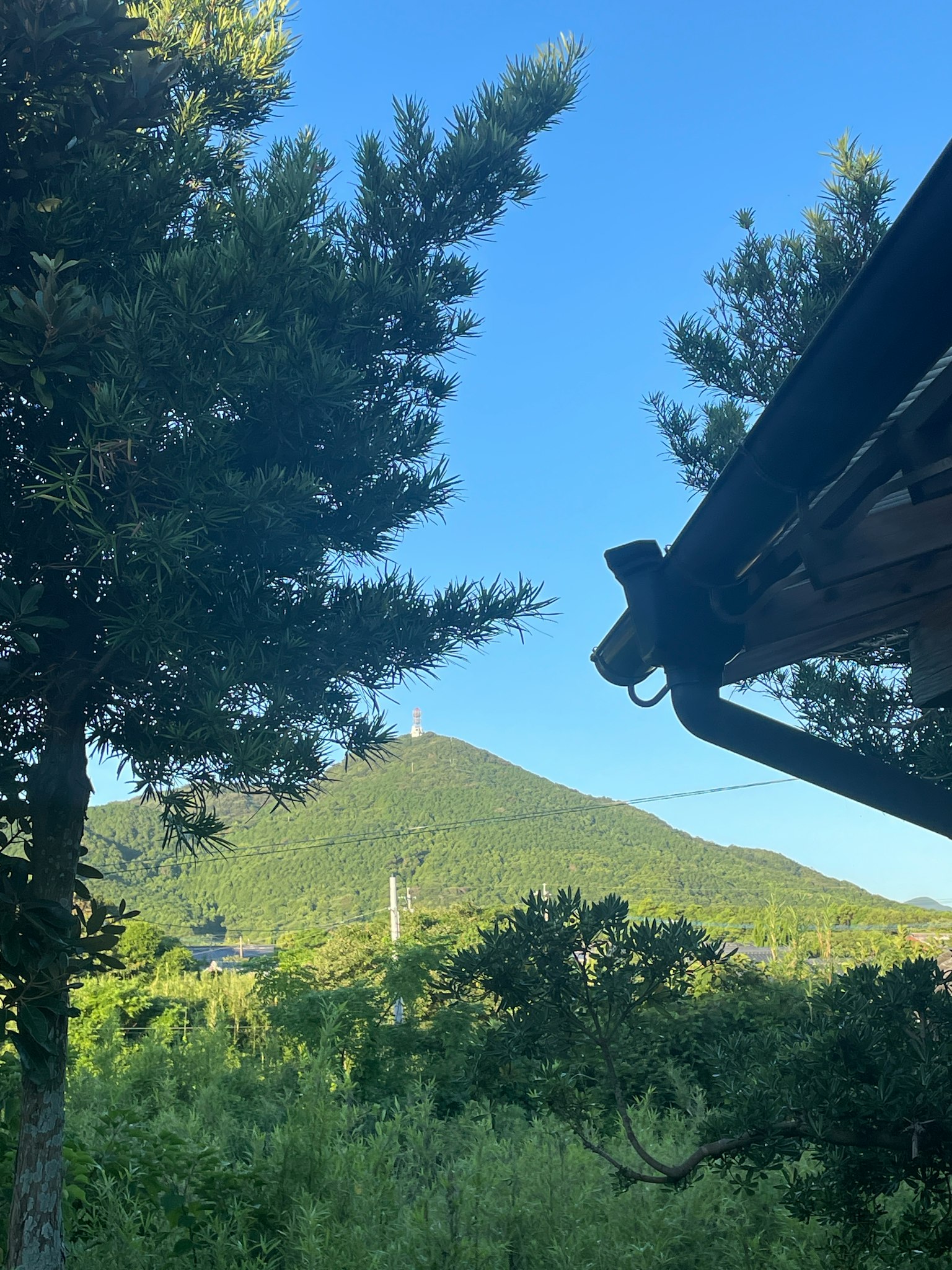 photo-aHc7y2aNkuAklip88W2N-image