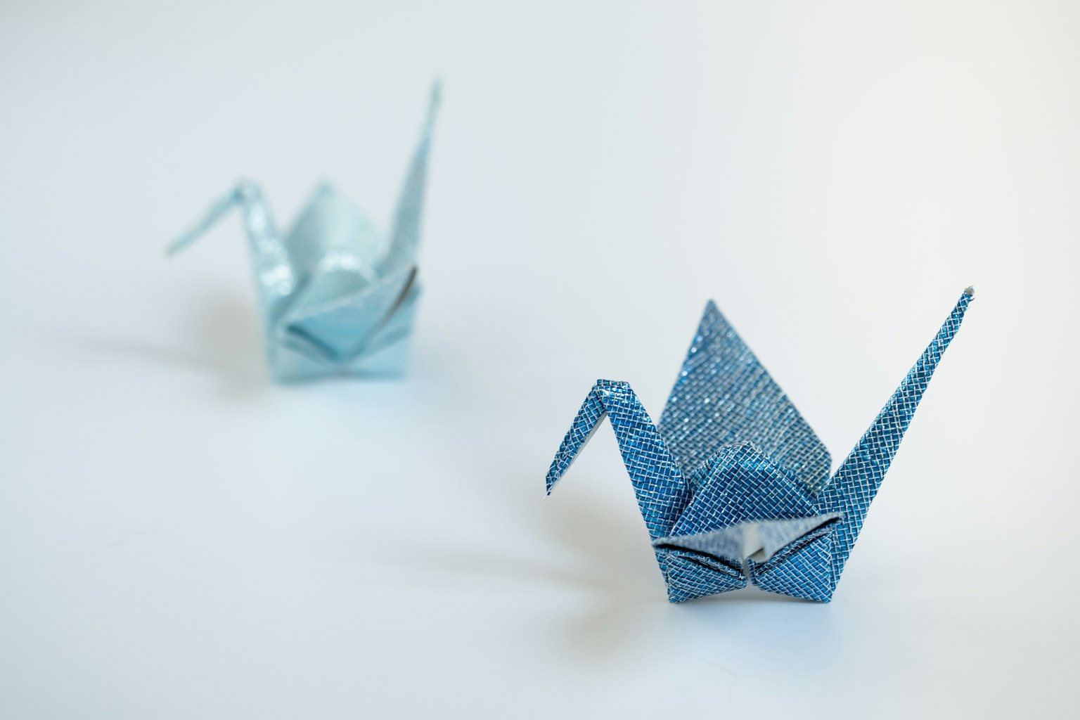 Due gru in origami blu su uno sfondo bianco